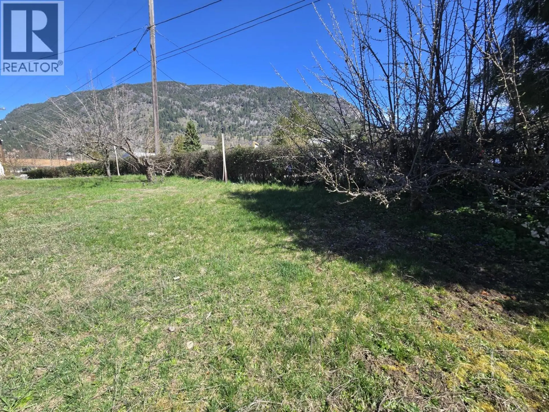 Property at 106 9TH AVENUE, Castlegar, BC