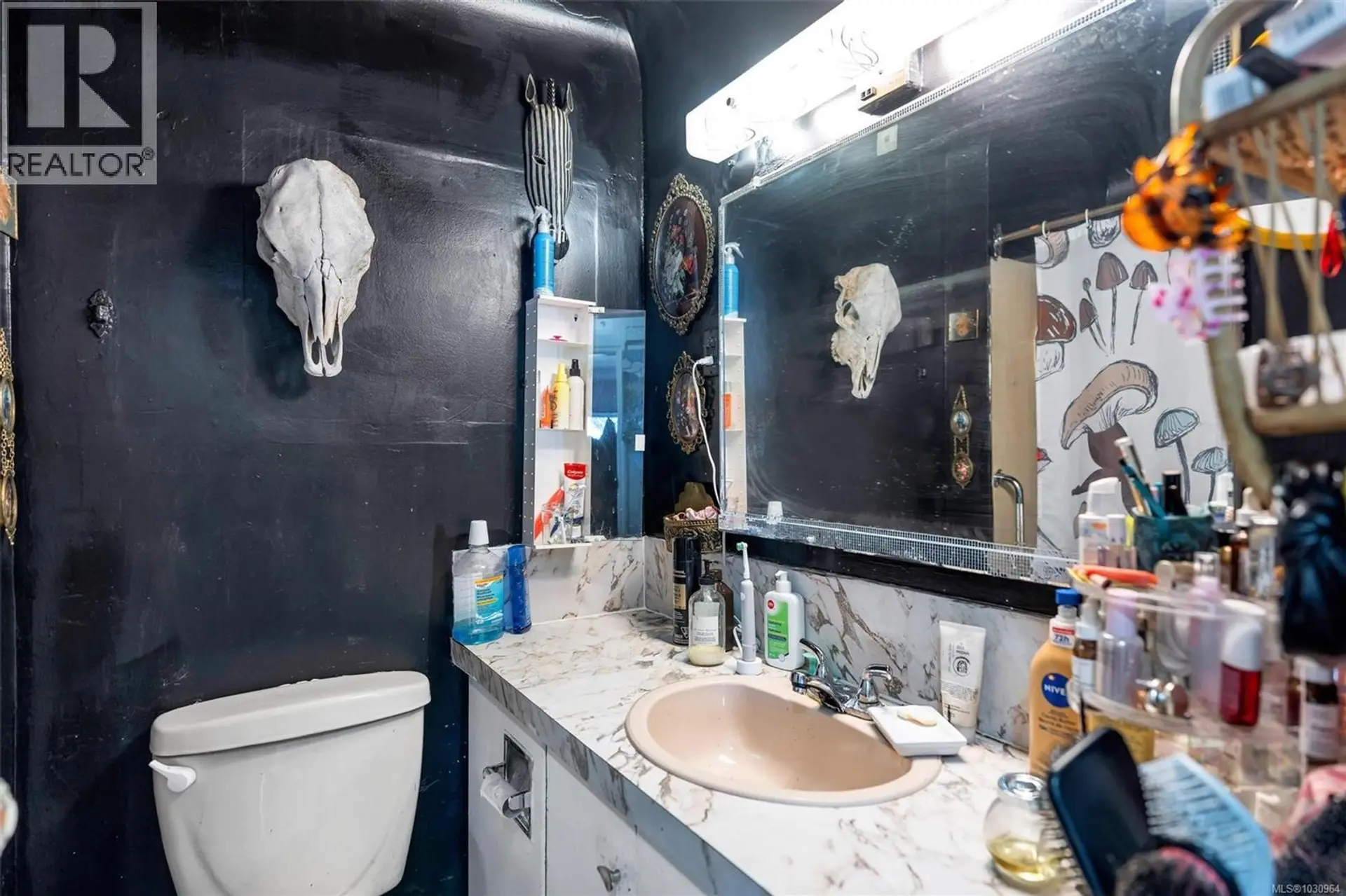 Property at 1669 KISBER AVE, Saanich, BC