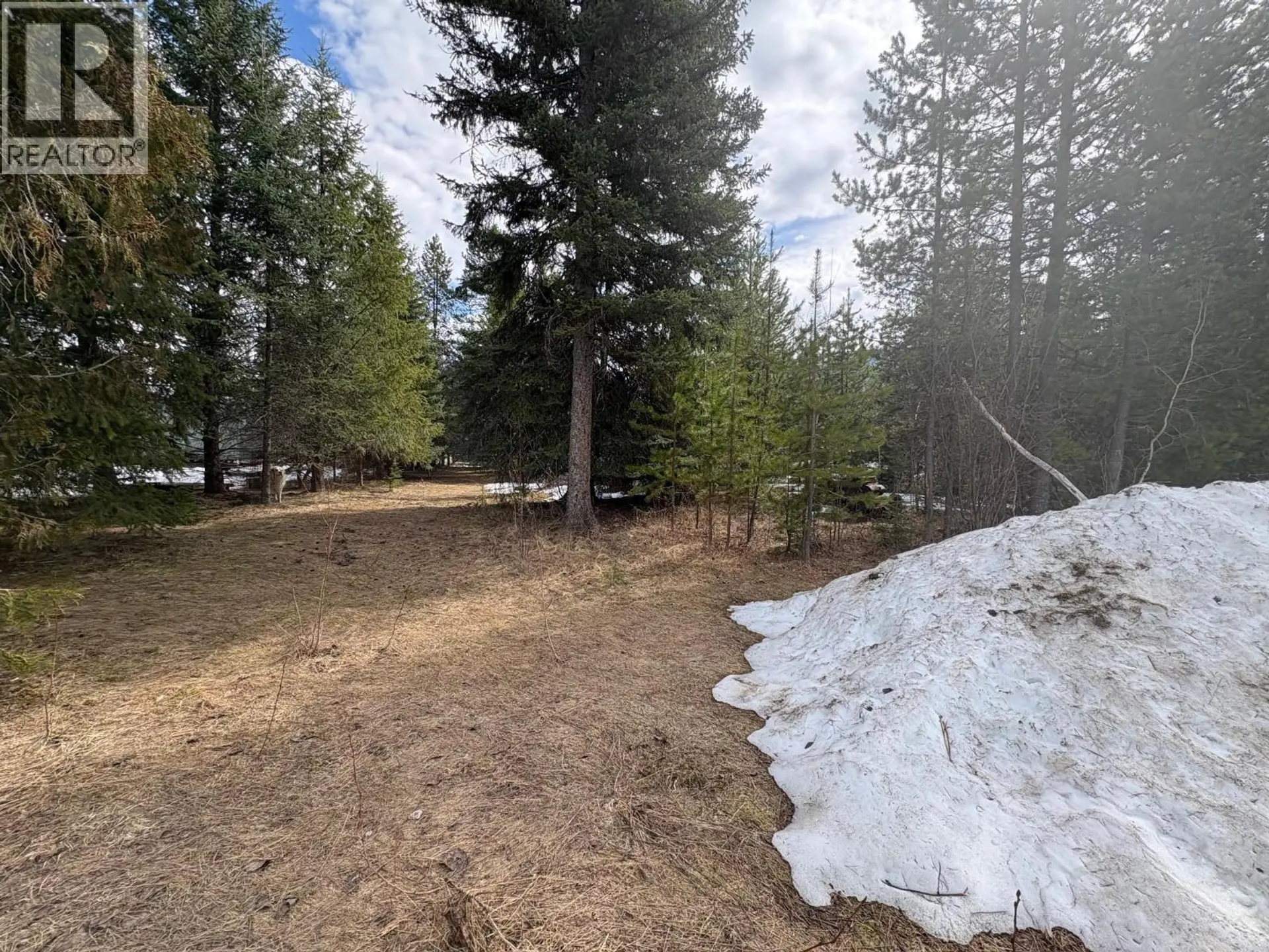 Property at 786 SPRUCE STREET, Blue River, BC