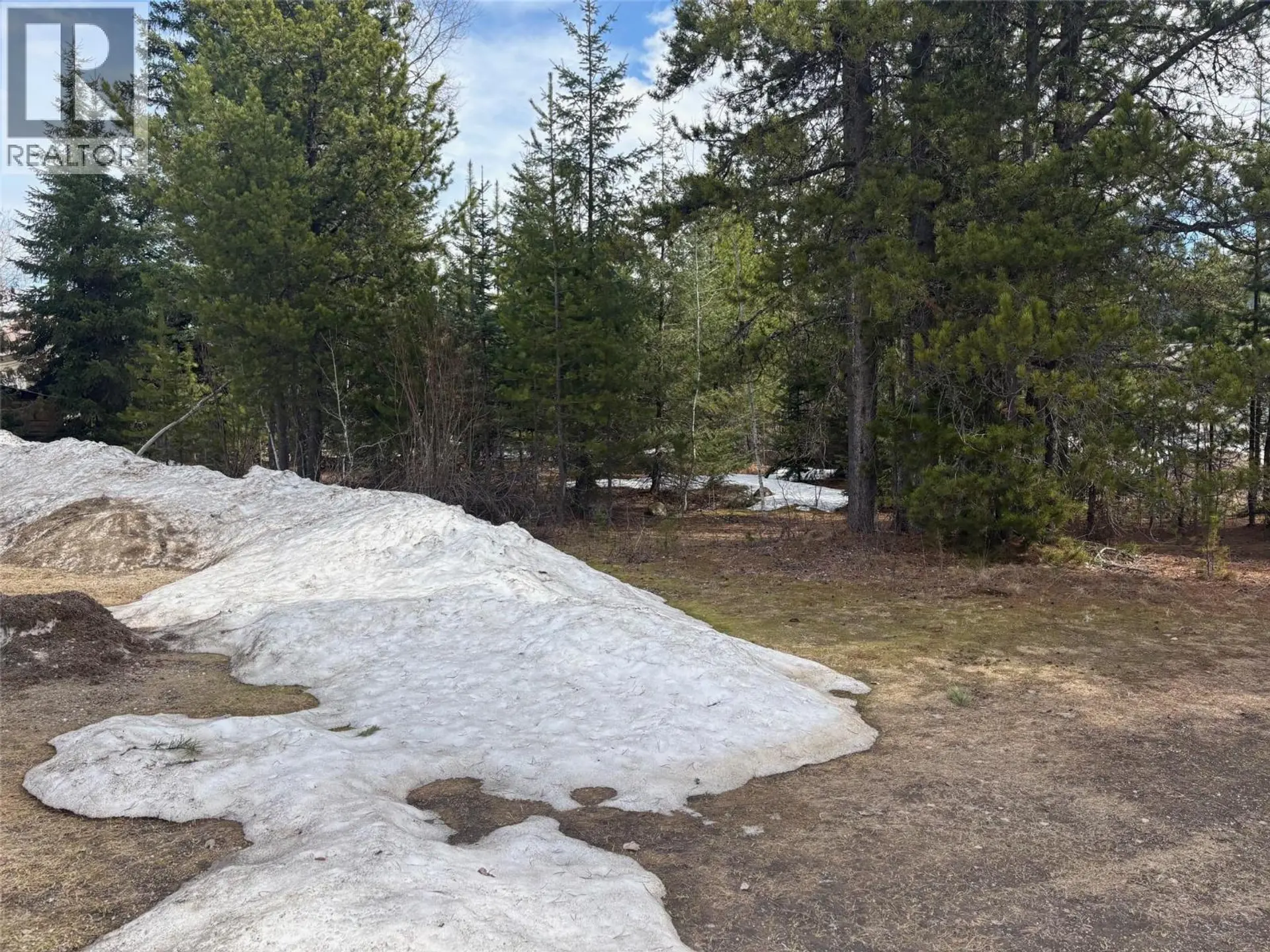 Property at 786 SPRUCE STREET, Blue River, BC