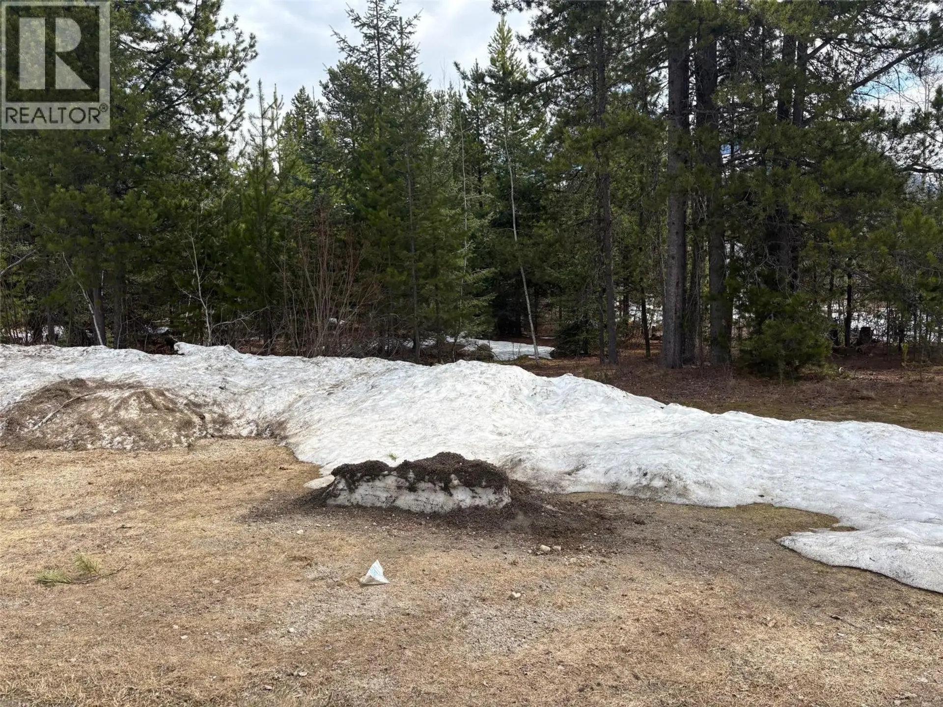 Property at 786 SPRUCE STREET, Blue River, BC