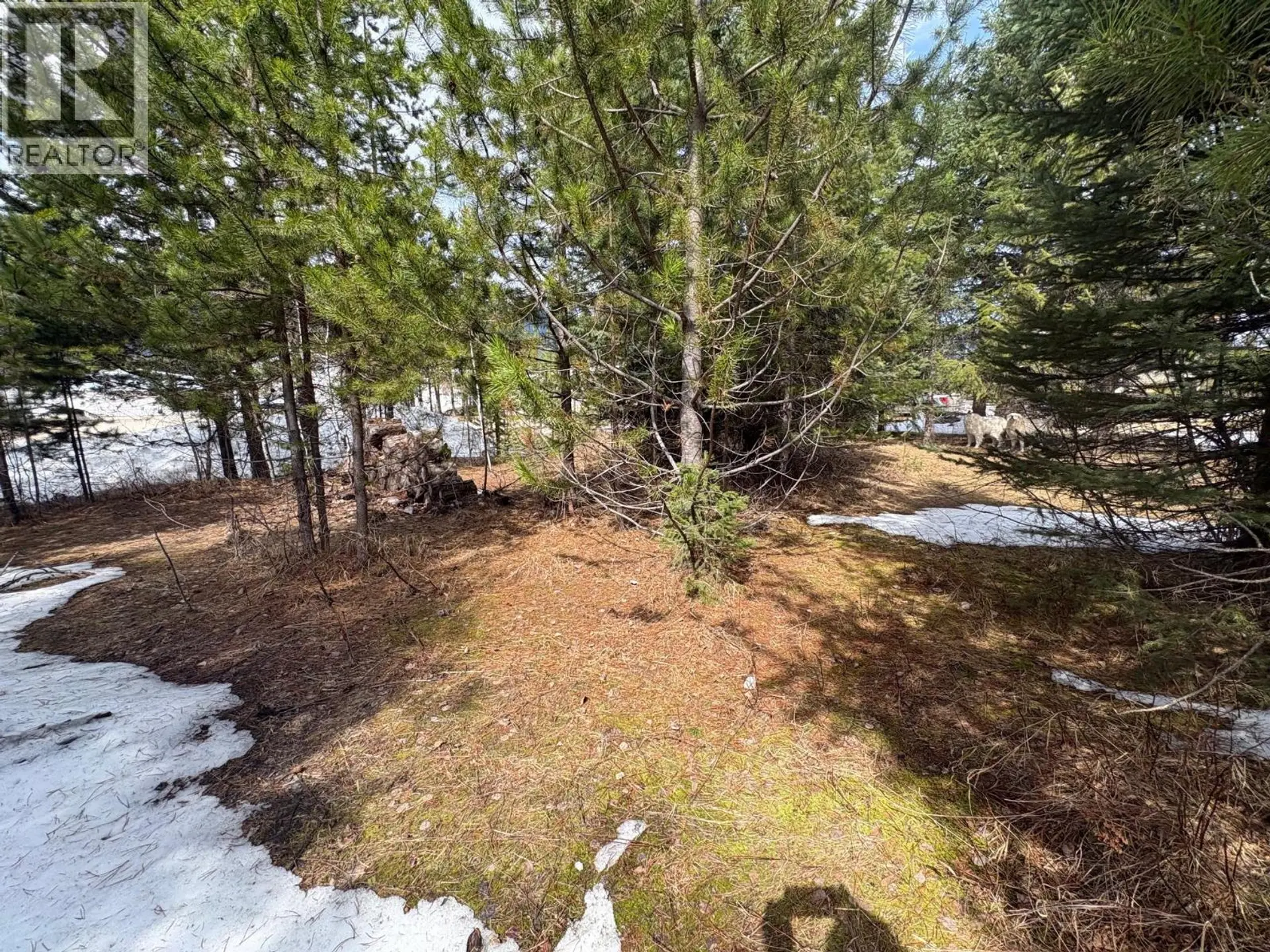 Property at 786 SPRUCE STREET, Blue River, BC