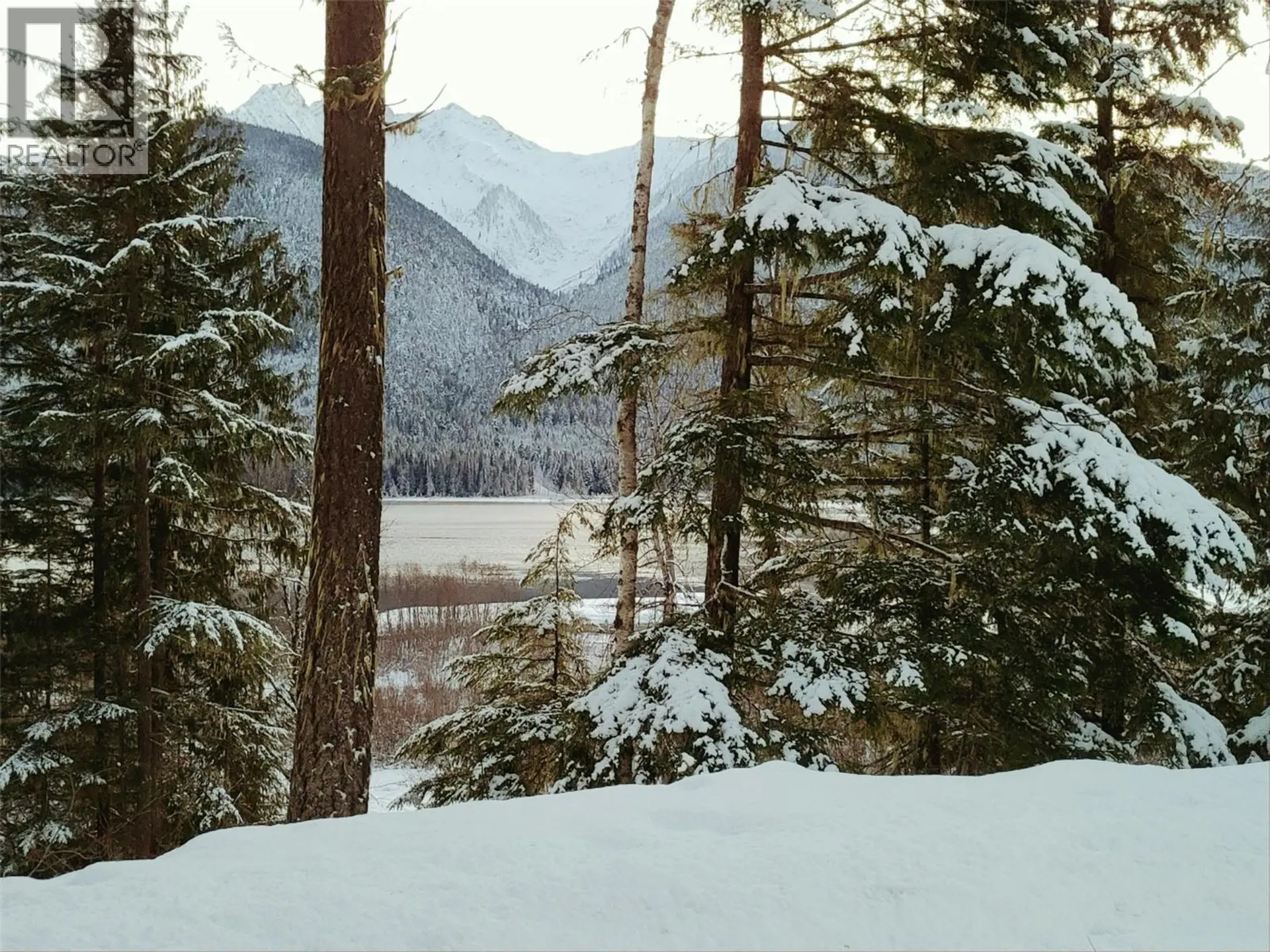 Property at SAWCZUK ROAD LOT# 19, Trout Lake, BC