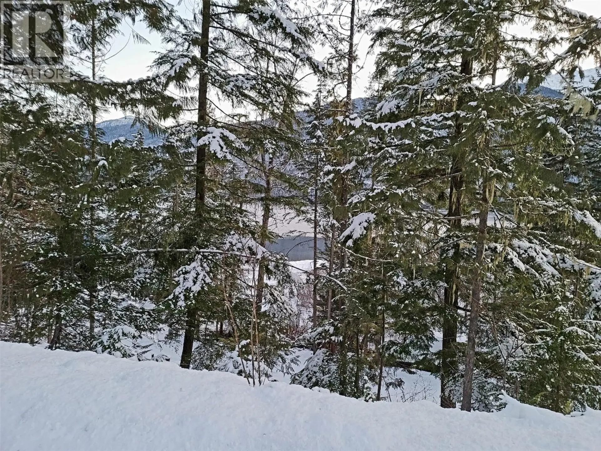 Property at SAWCZUK ROAD LOT# 19, Trout Lake, BC