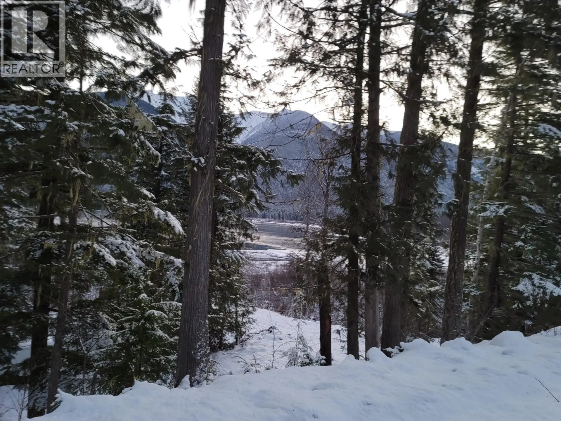 Property at SAWCZUK ROAD LOT# 19, Trout Lake, BC