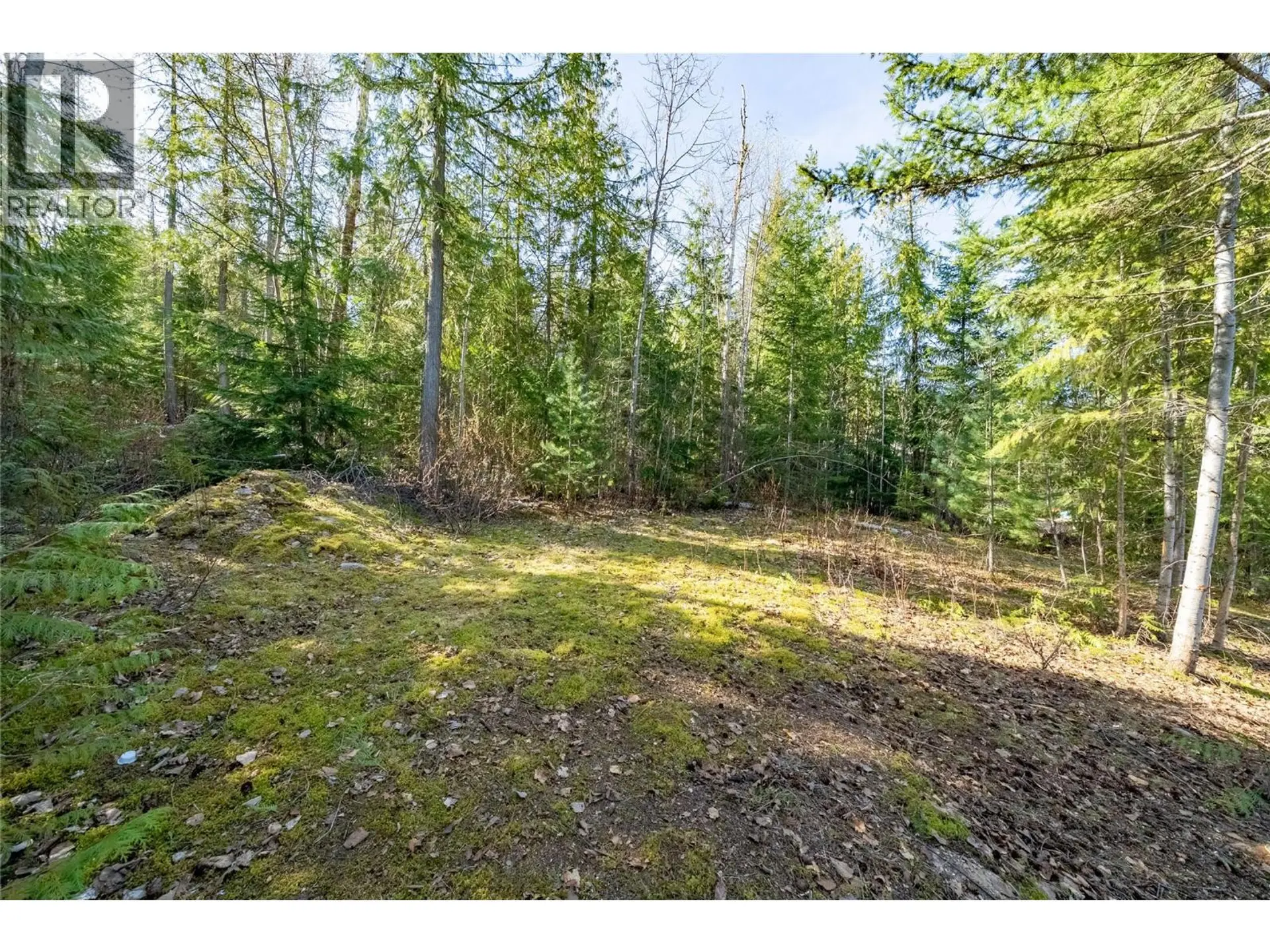 Property at 5056 IVY ROAD, Eagle Bay, BC