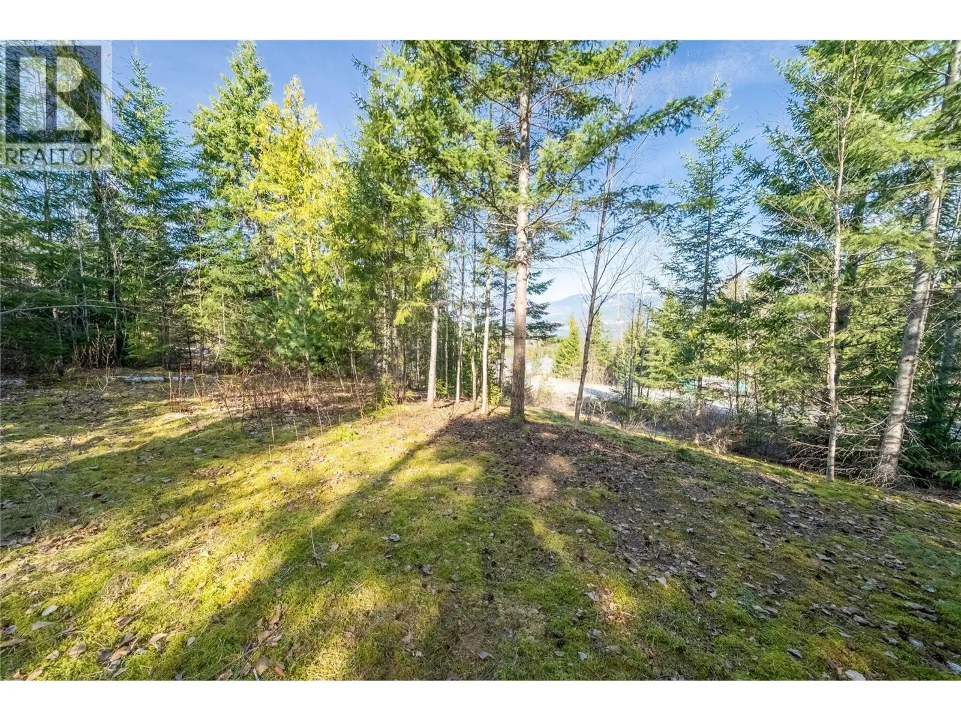 Property at 5056 IVY ROAD, Eagle Bay, BC