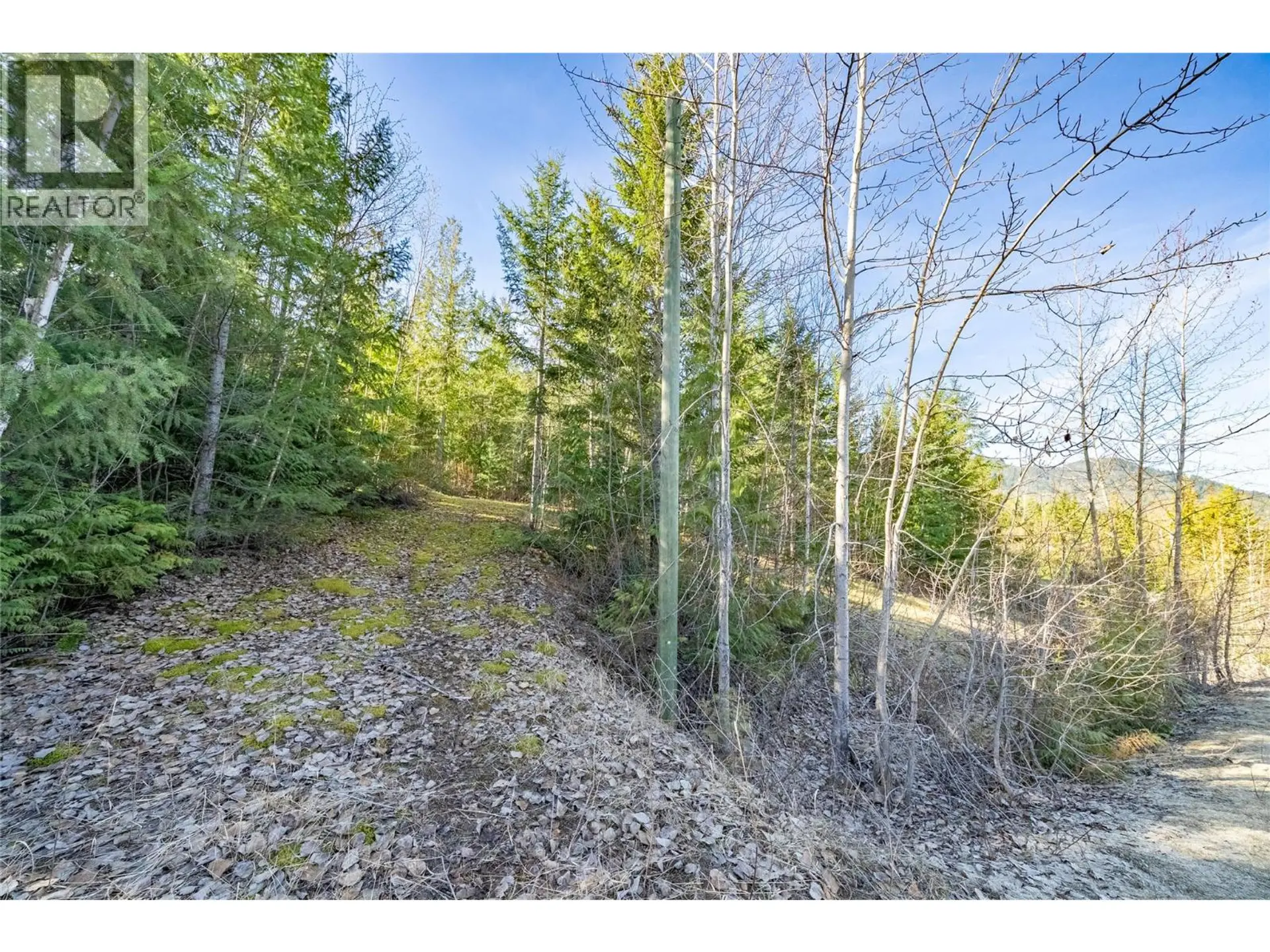 Property at 5056 IVY ROAD, Eagle Bay, BC