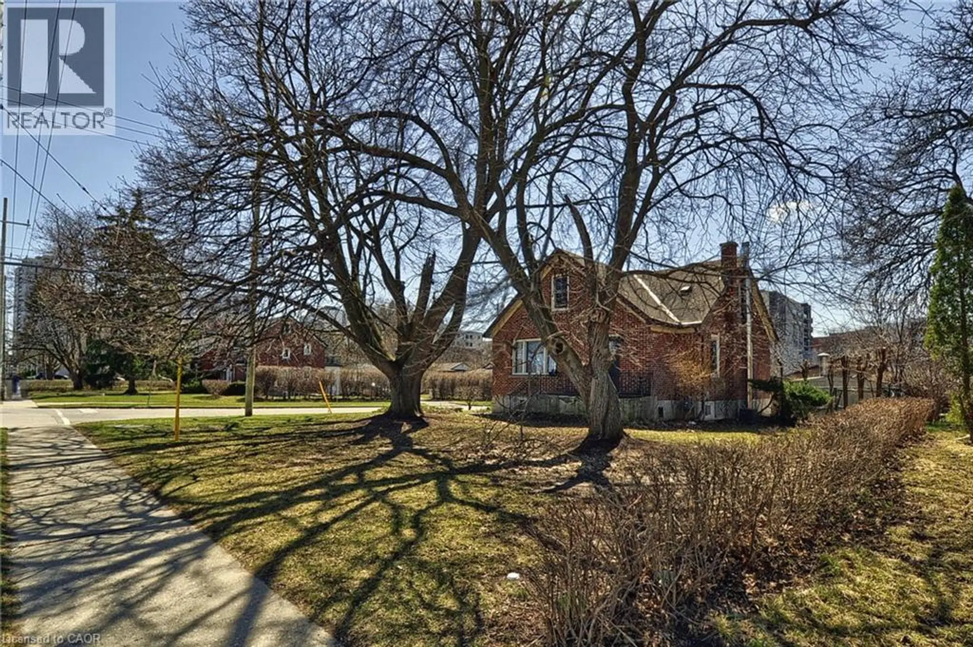285 ALBERT STREET - Image 4