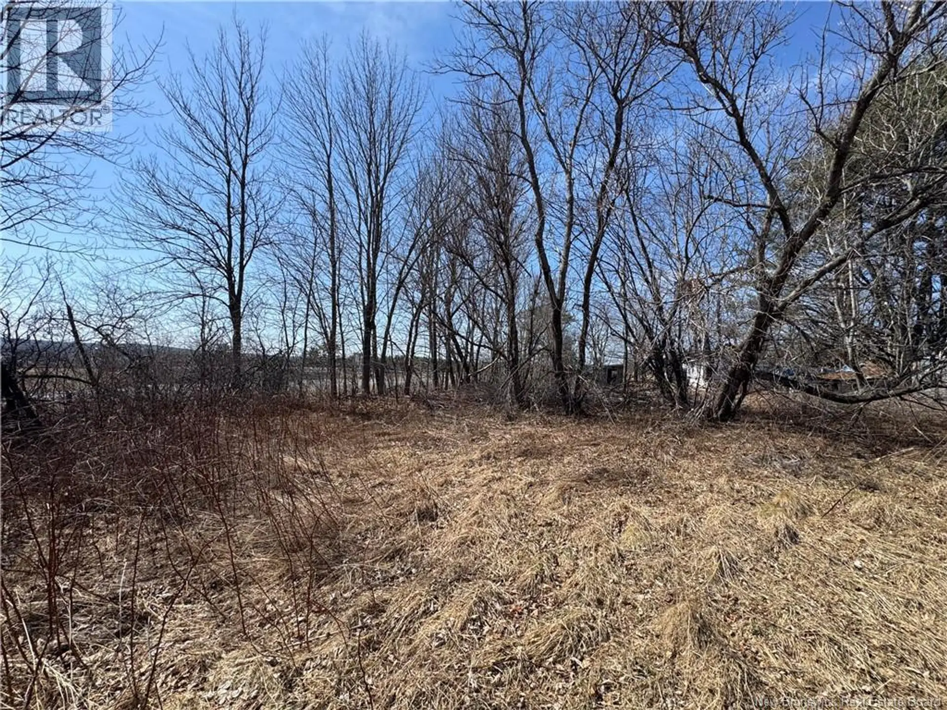 9321 ROUTE 3 - Image 5
