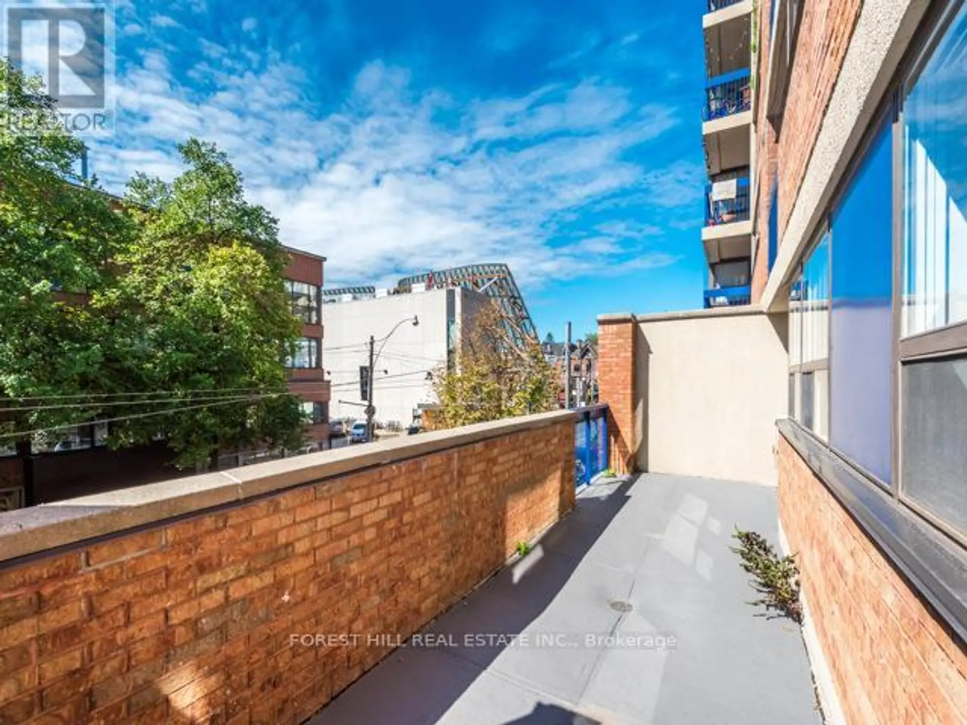 #202 105 MCCAUL STREET - Image 19
