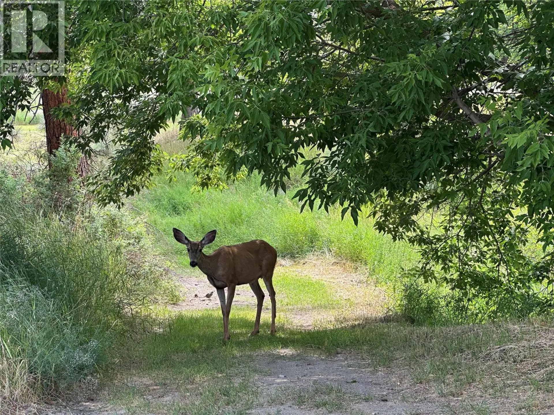 Property at 1348 CEDAR STREET, Okanagan Falls, BC