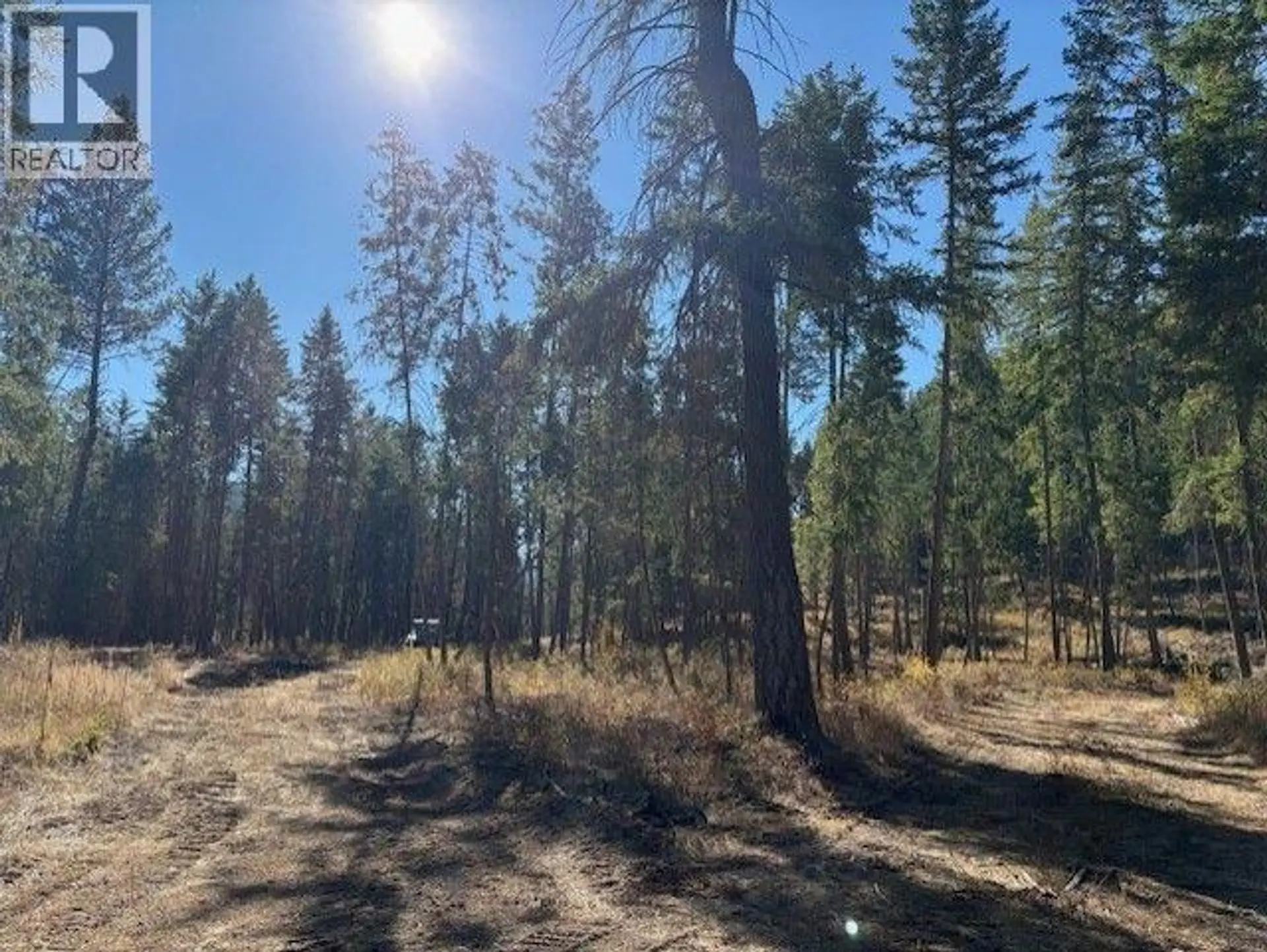 Property at 5600 CHRISTIAN VALLEY ROAD, Westbridge, BC