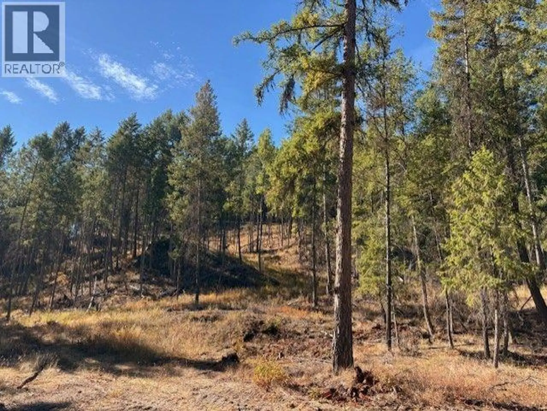 Property at 5600 CHRISTIAN VALLEY ROAD, Westbridge, BC