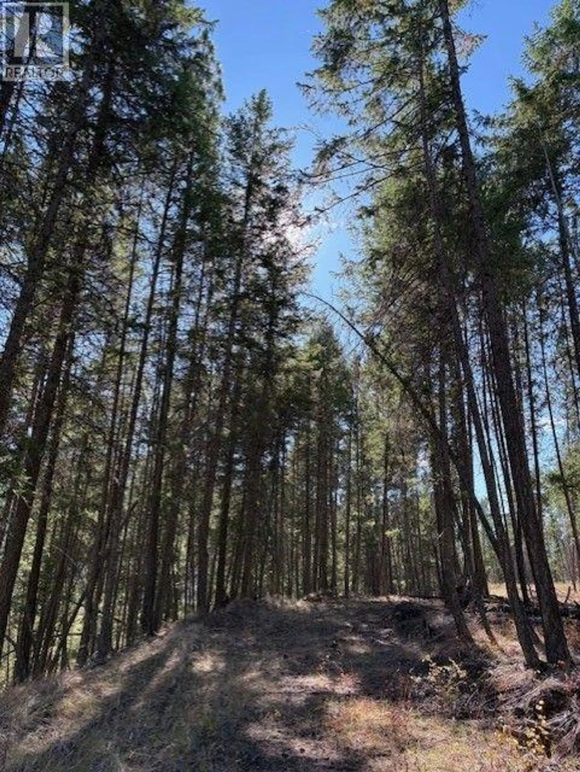 Property at 5600 CHRISTIAN VALLEY ROAD, Westbridge, BC