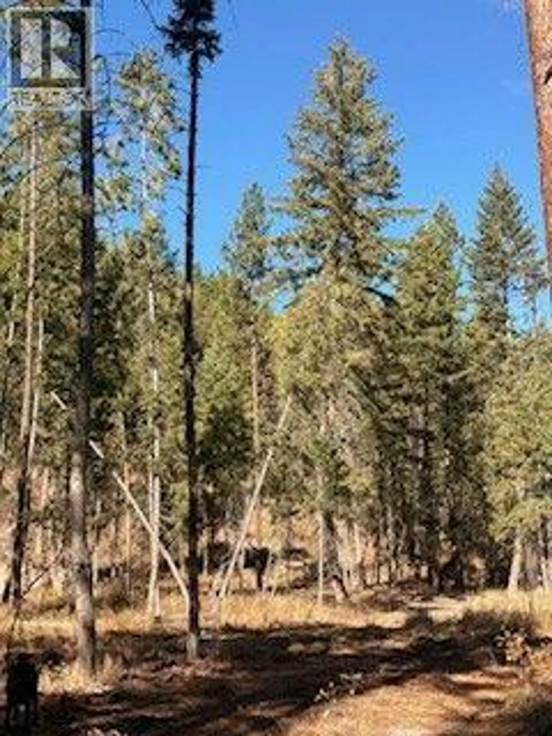 Property at 5600 CHRISTIAN VALLEY ROAD, Westbridge, BC