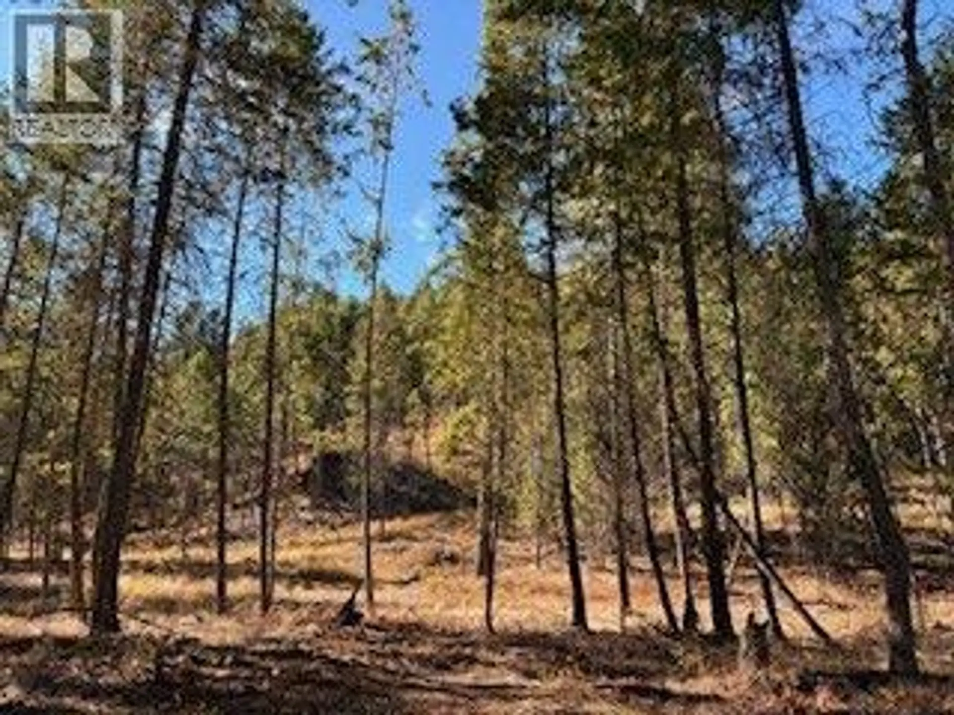 Property at 5600 CHRISTIAN VALLEY ROAD, Westbridge, BC