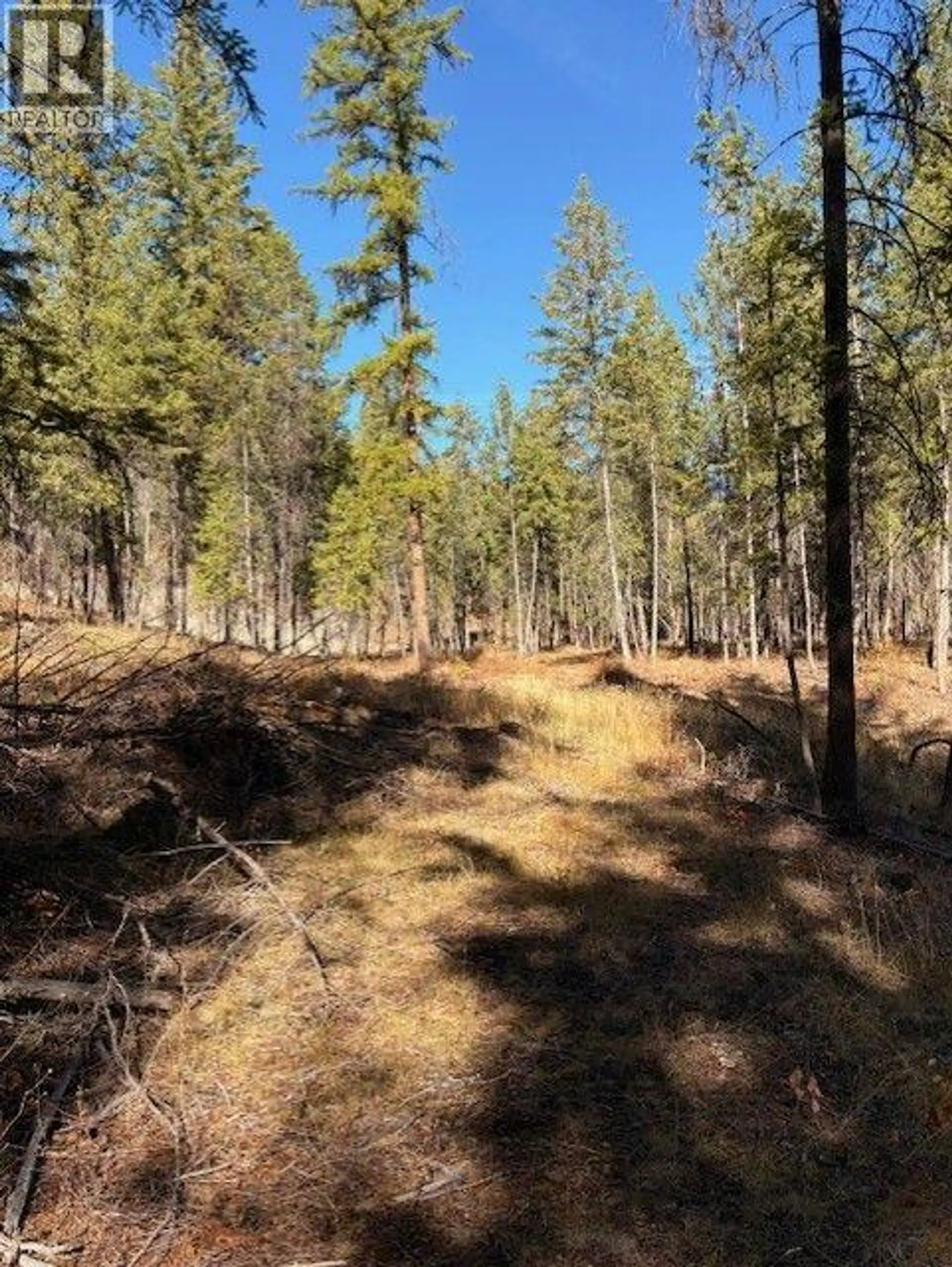 Property at 5600 CHRISTIAN VALLEY ROAD, Westbridge, BC