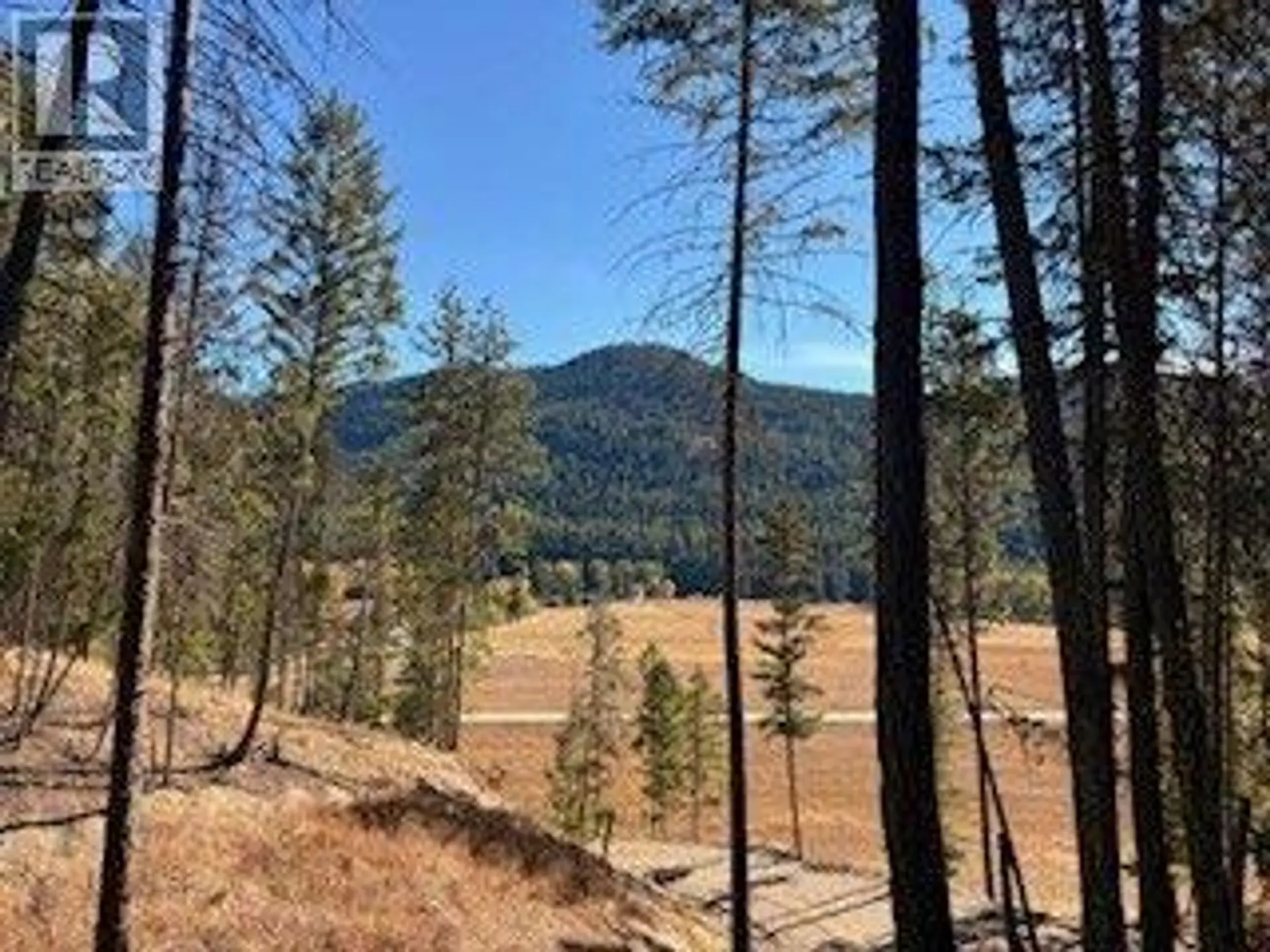 Property at 5600 CHRISTIAN VALLEY ROAD, Westbridge, BC