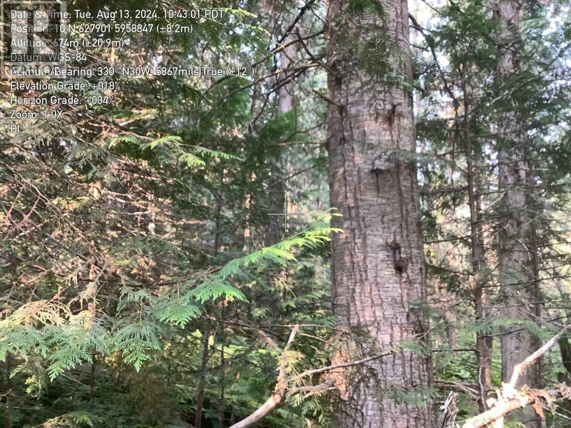 Property at BLK D DOME CREEK, Dome Creek, BC