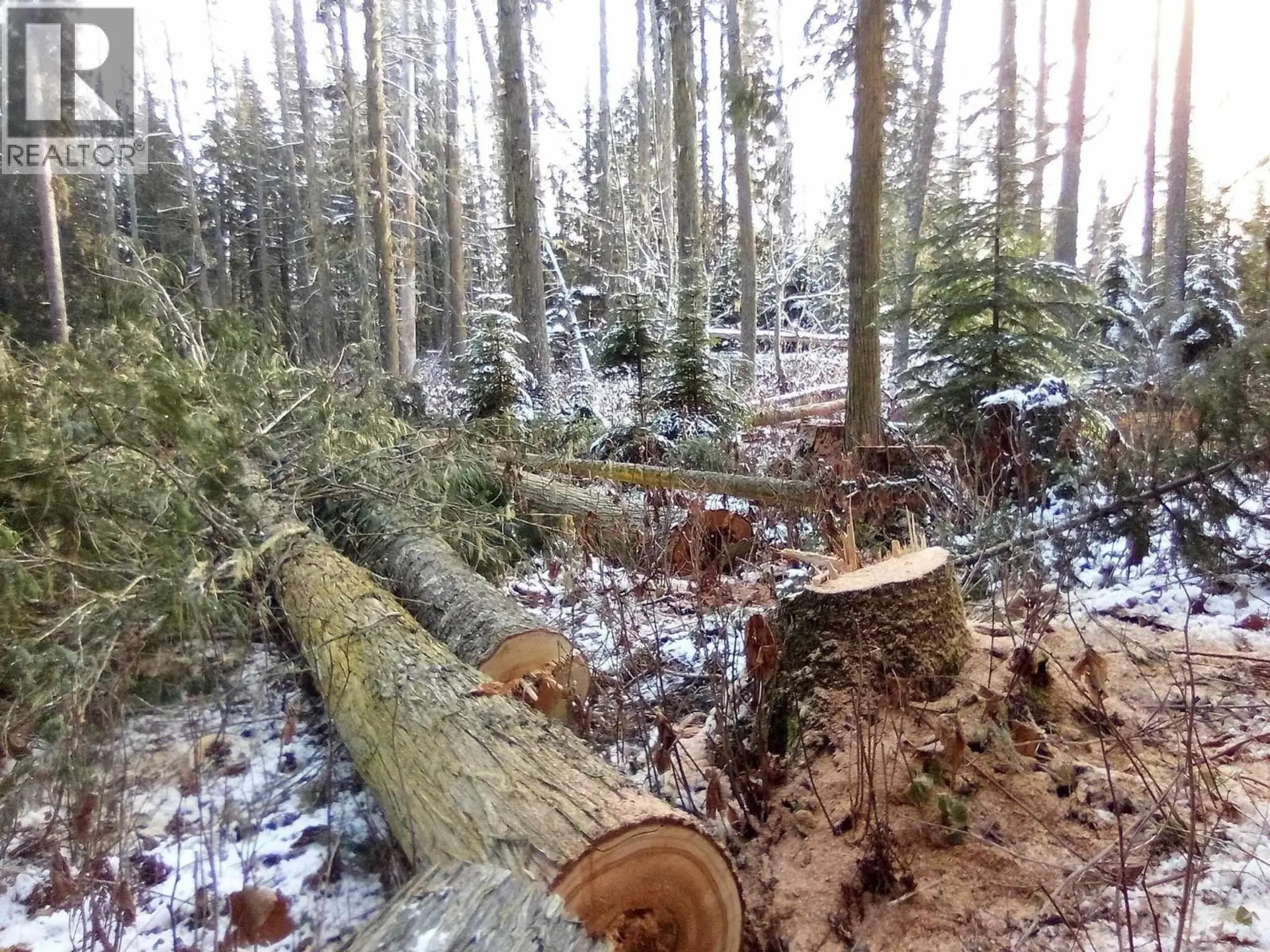 Property at BLK D DOME CREEK, Dome Creek, BC