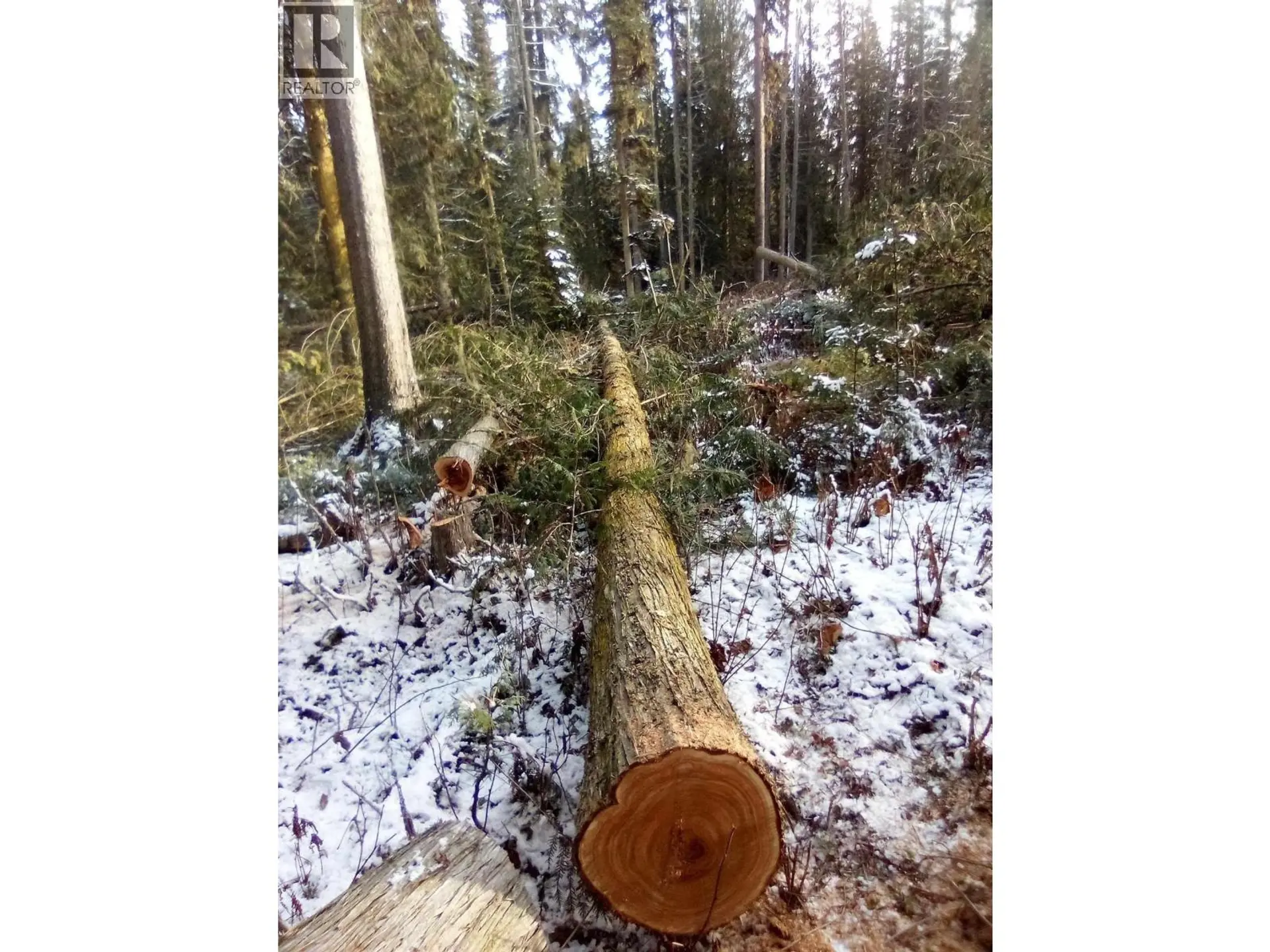 Property at BLK D DOME CREEK, Dome Creek, BC