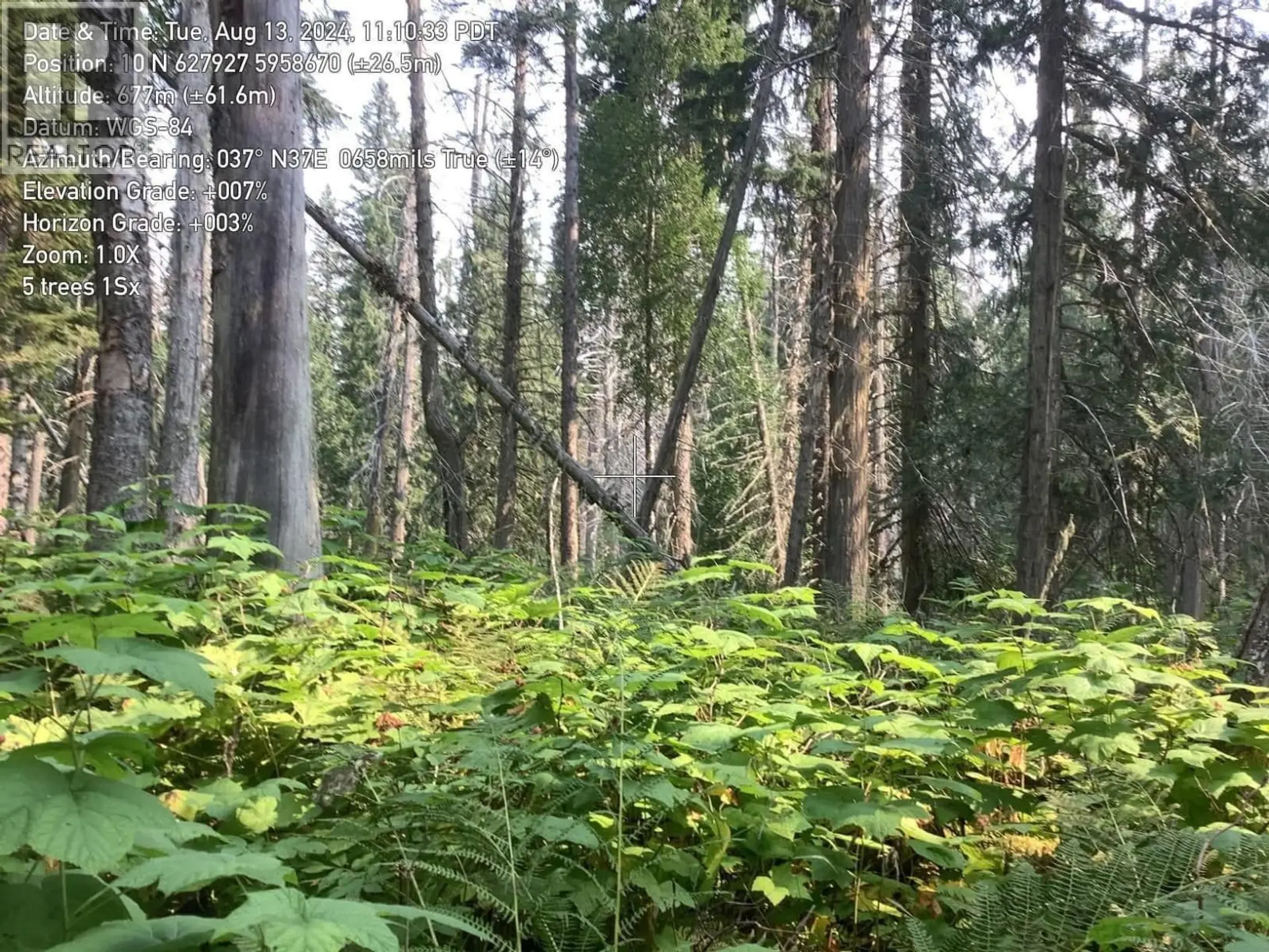 Property at BLK D DOME CREEK, Dome Creek, BC