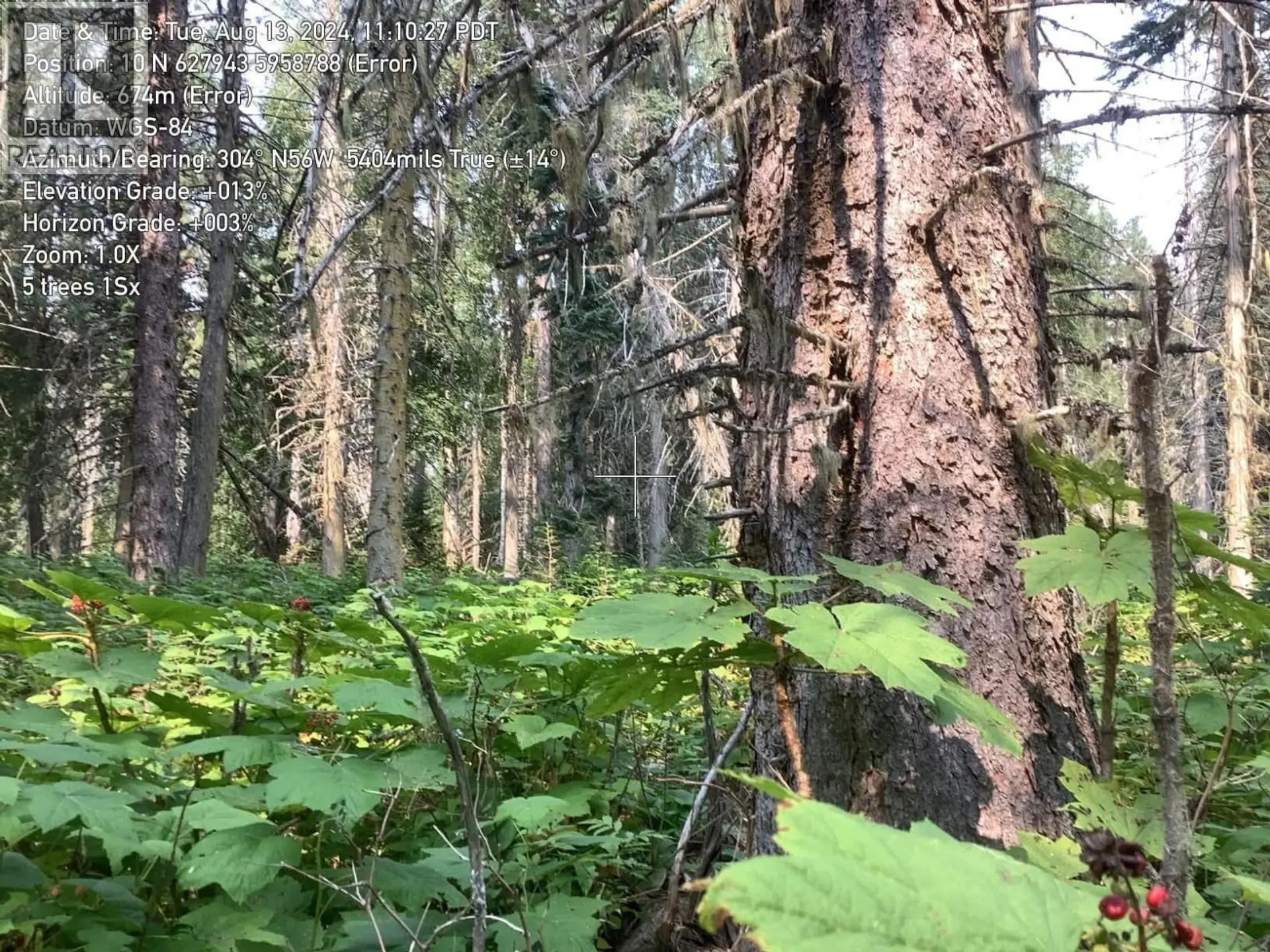 Property at BLK D DOME CREEK, Dome Creek, BC