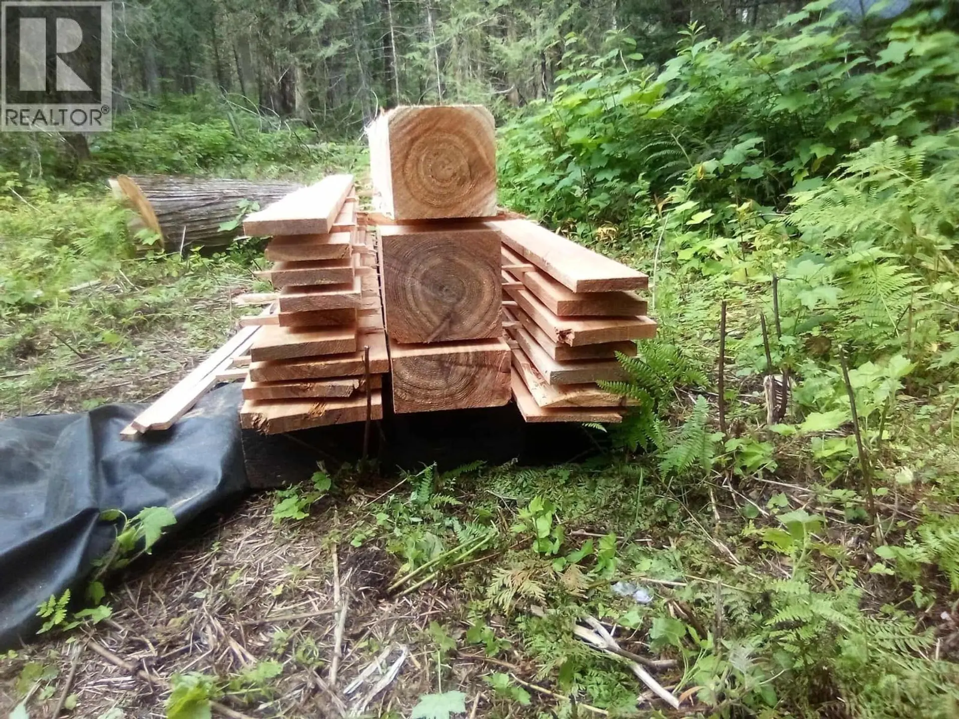 Property at BLK D DOME CREEK, Dome Creek, BC