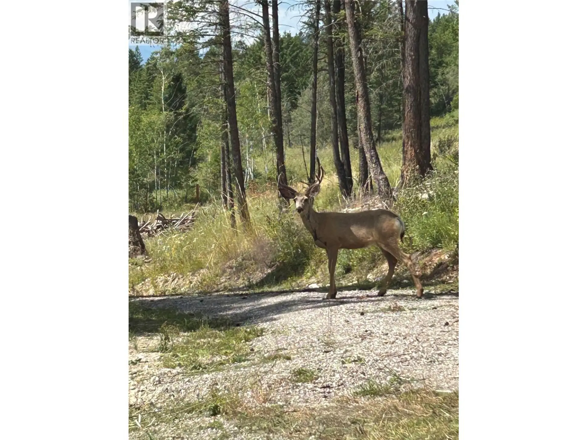 Property at CSOKONY ROAD, Spur Valley, BC