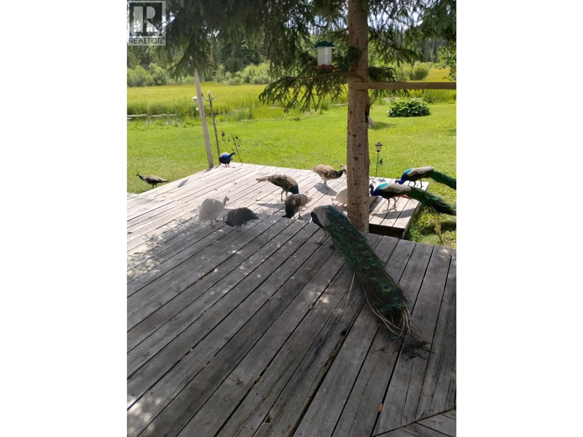 Property at 6534 HORSE LAKE FOREST SERVICE ROAD, 100 Mile House, BC