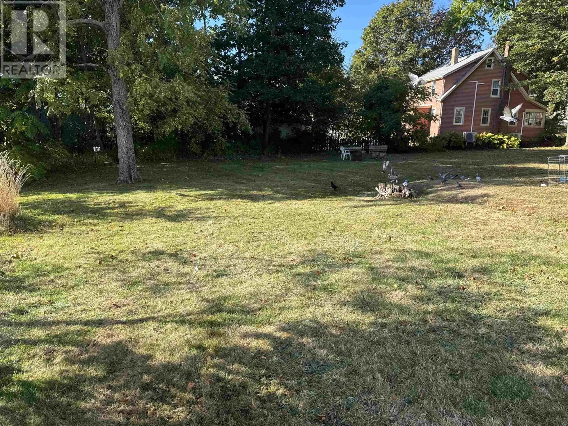 70 Longworth Avenue - Image 5