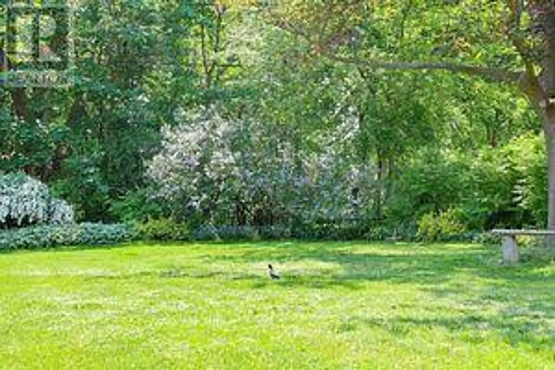 53 DENNETT DRIVE - Image 18