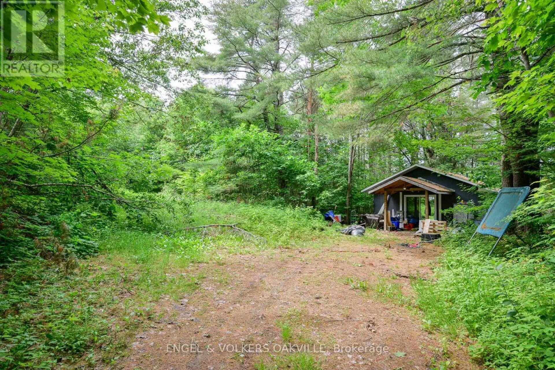 253 MAPLE STREET - Image 6