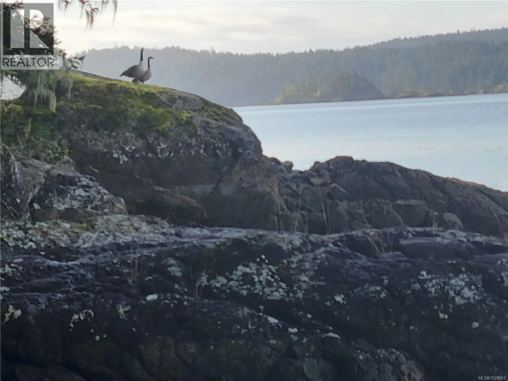 Property at 5301 Sooke Rd, Sooke, BC