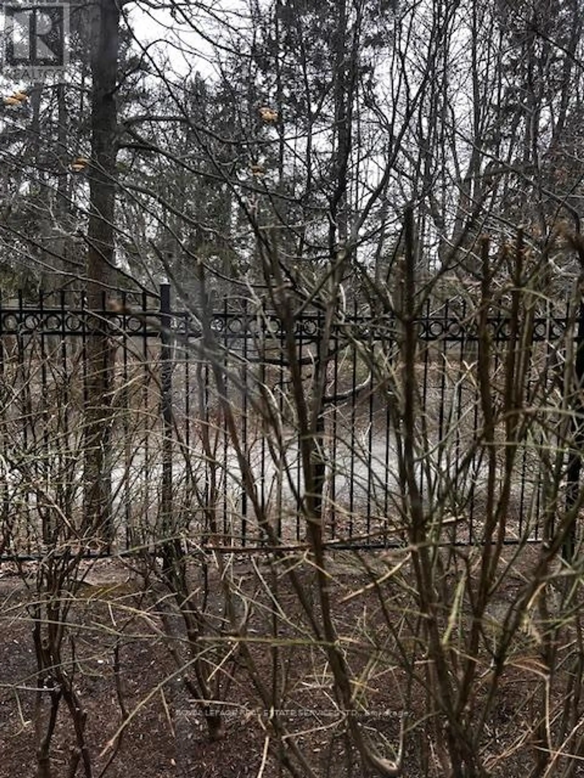 #212 195 MERTON STREET - Image 12