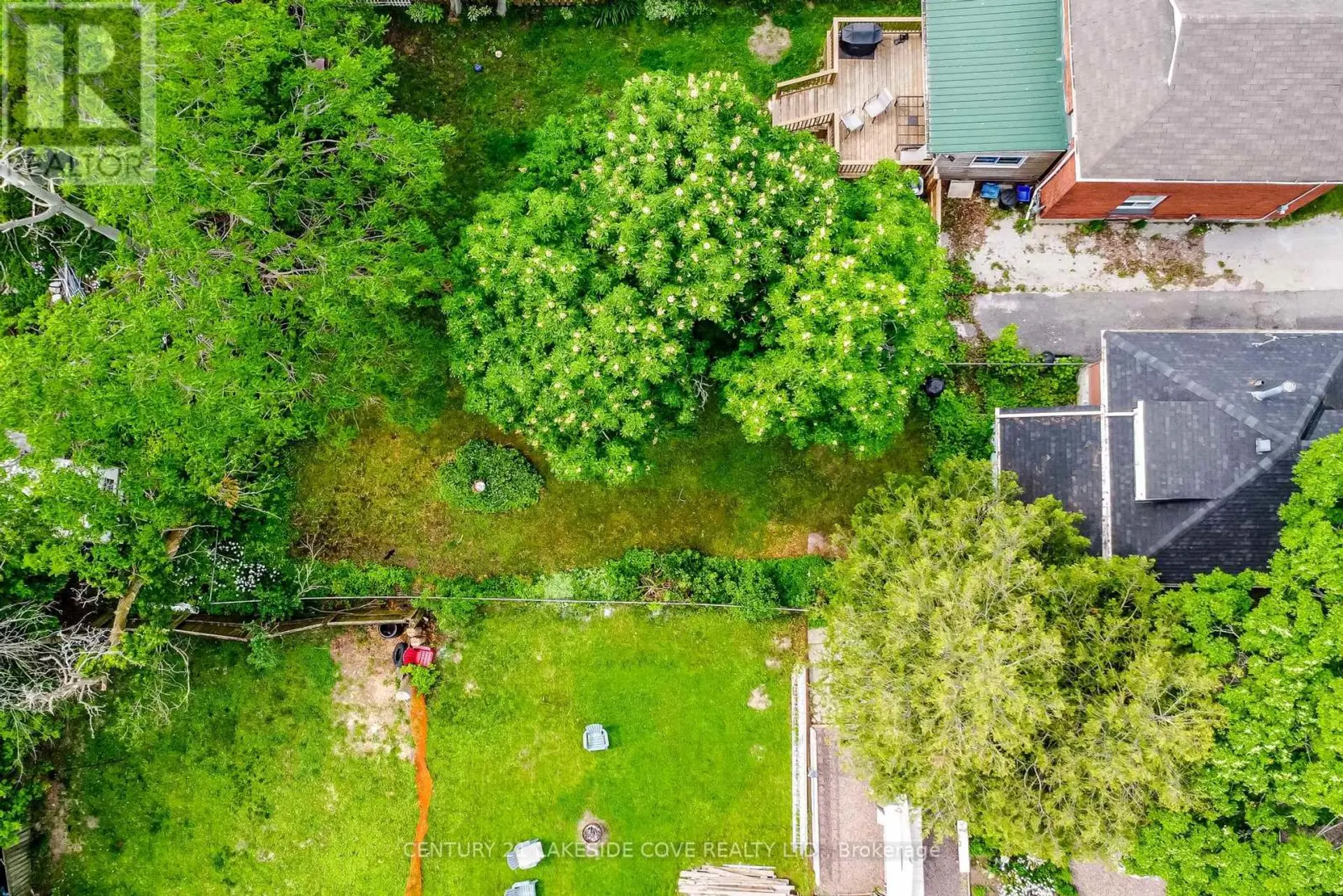 147 DUFFERIN STREET - Image 6