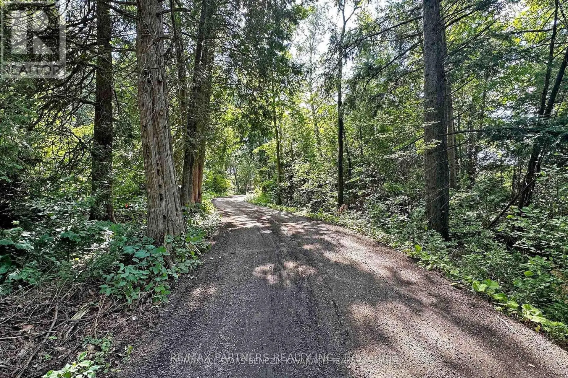 14059 MCCOWAN ROAD - Image 16