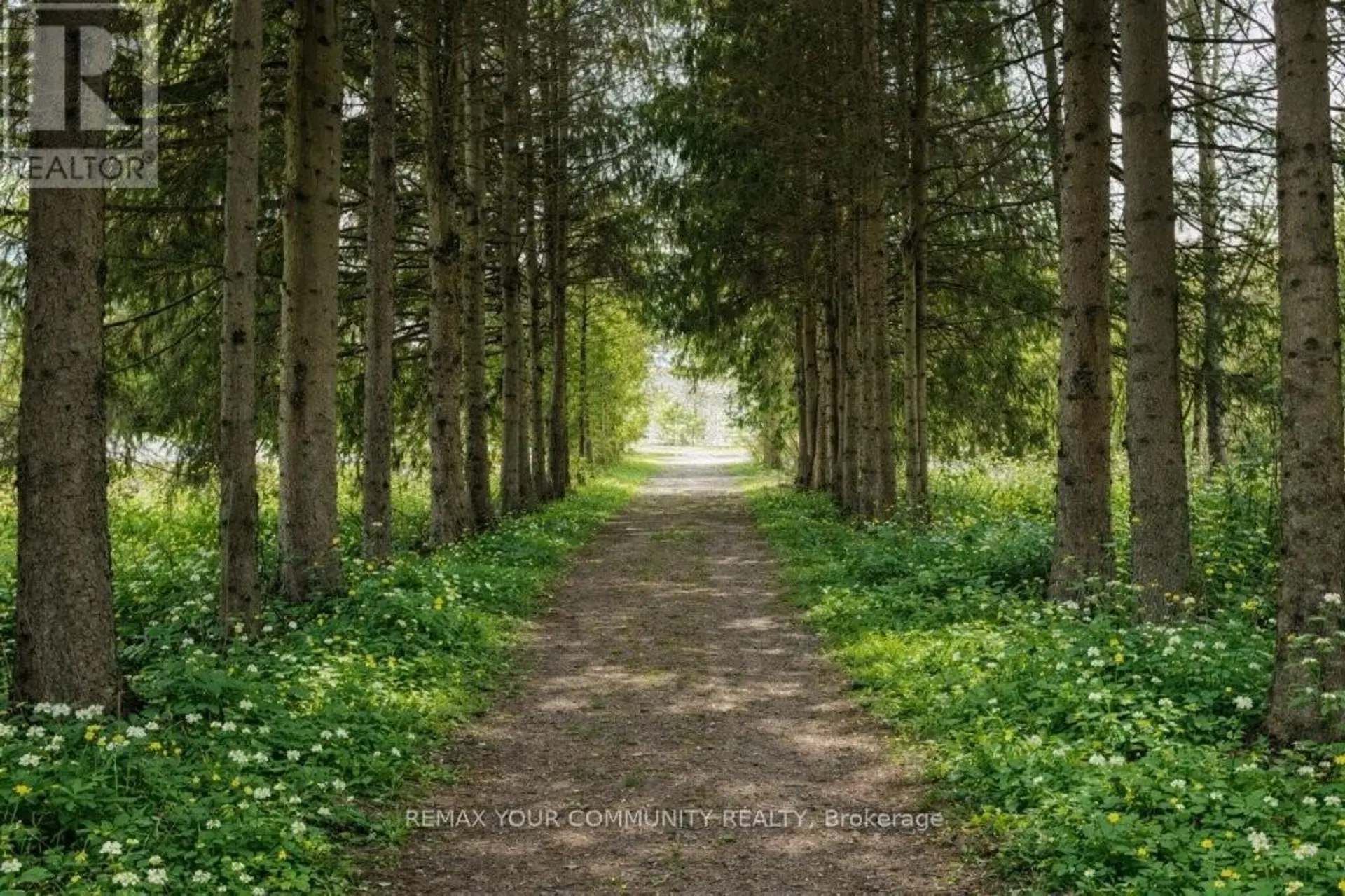 22772 WEIRS SIDE ROAD - Image 2