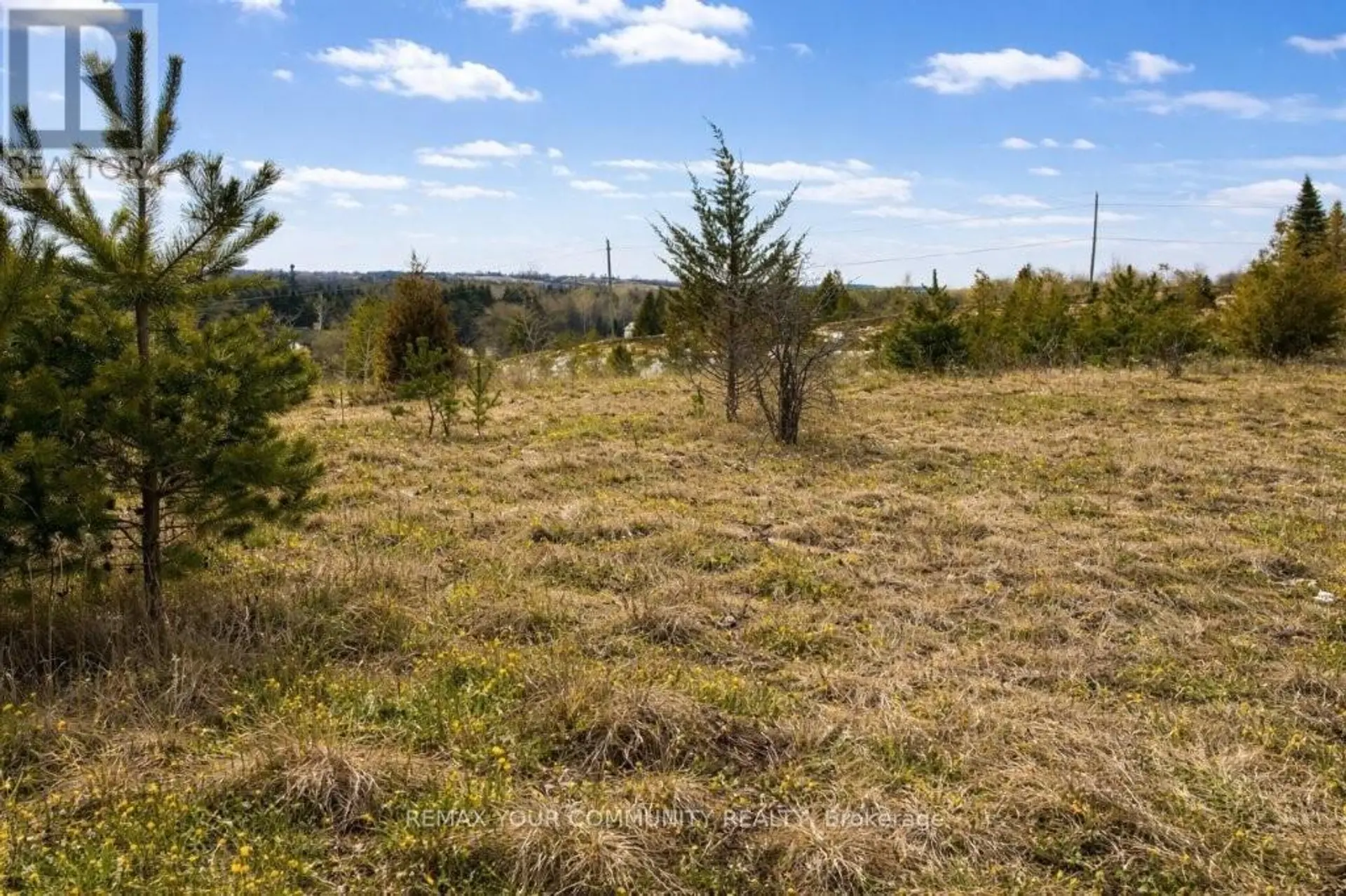 22772 WEIRS SIDE ROAD - Image 6