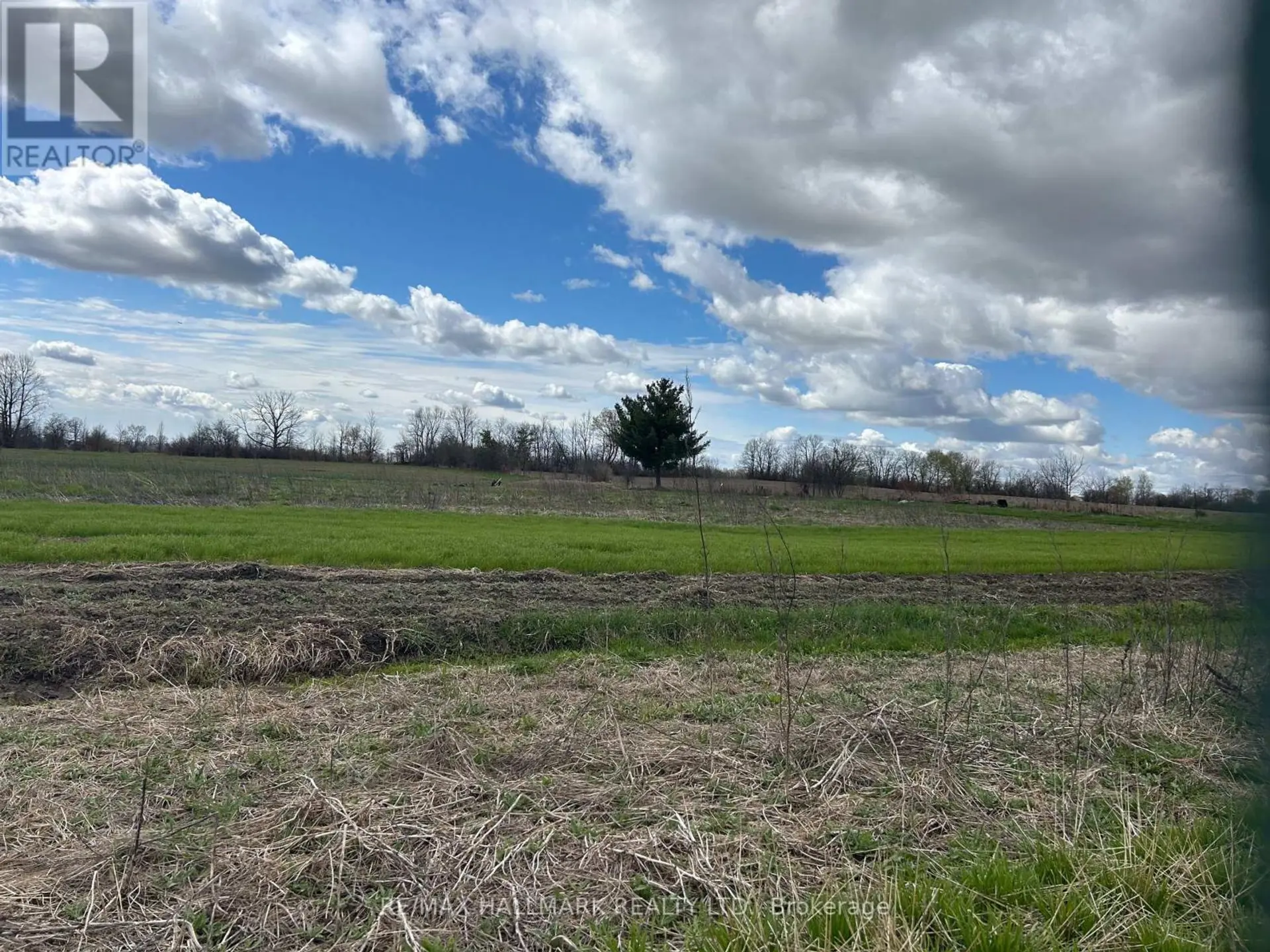 3569 BETHESDA ROAD - Image 6