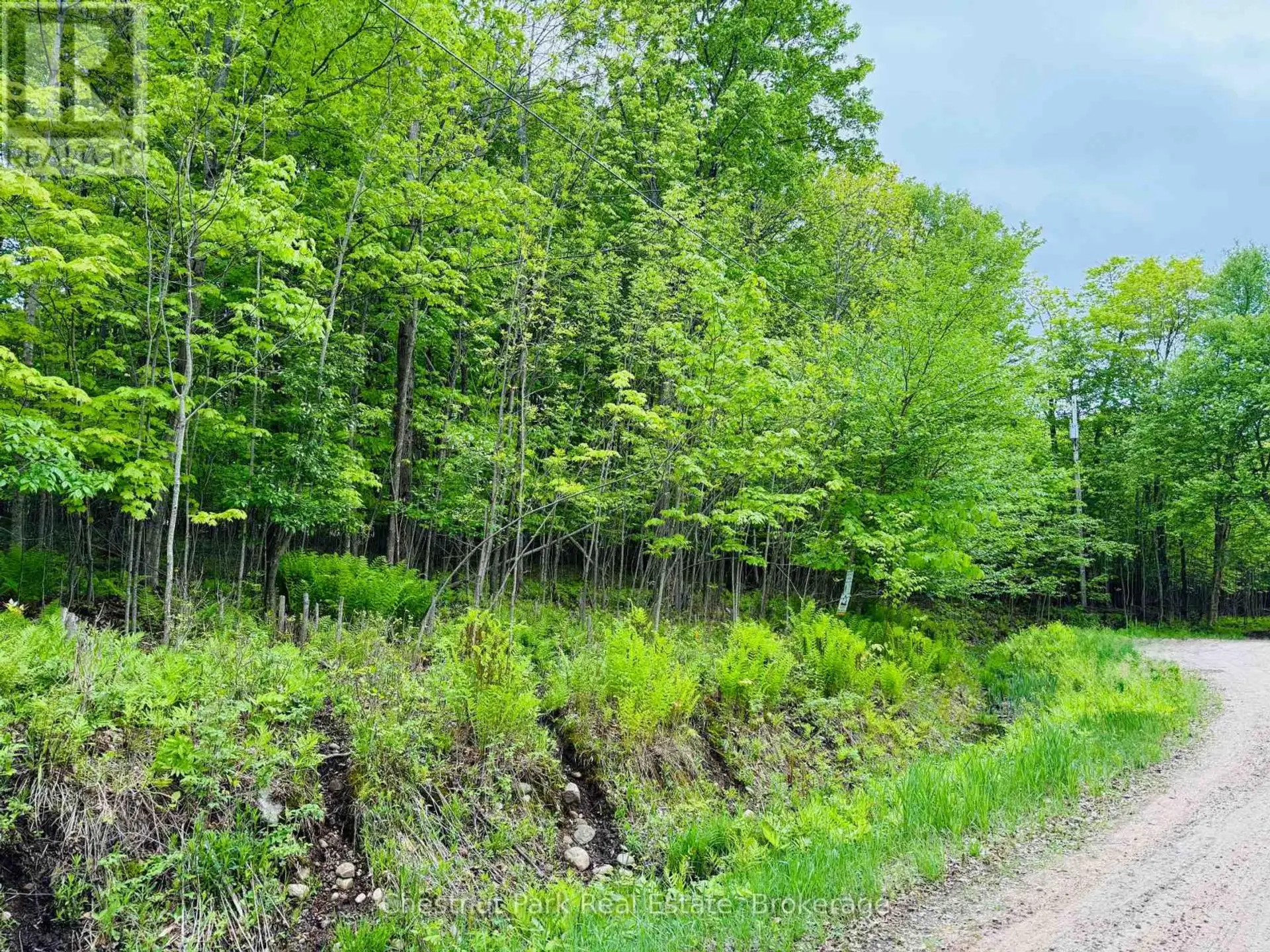 23 MAPLE RIDGE ROAD - Image 10