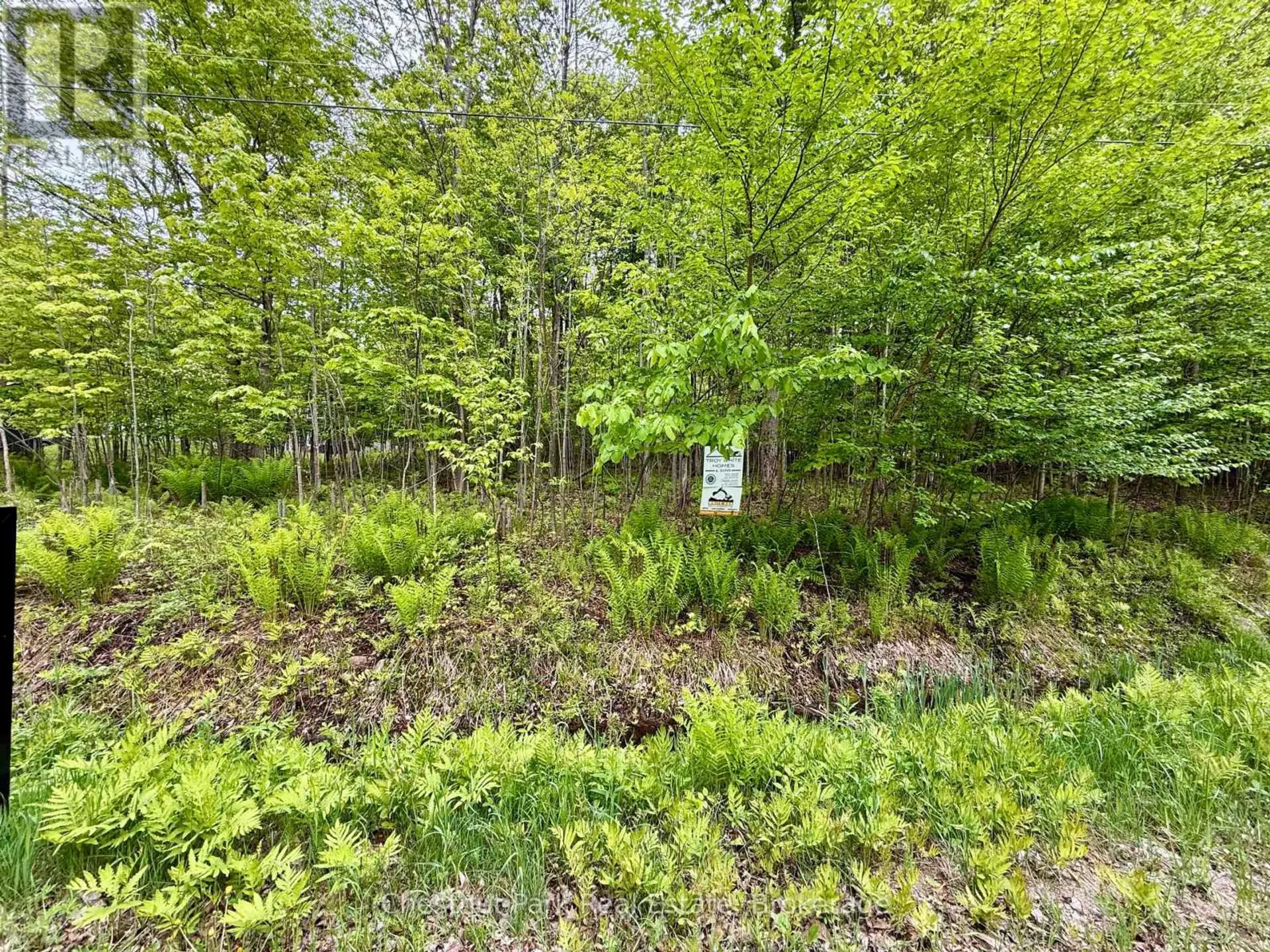 23 MAPLE RIDGE ROAD - Image 8