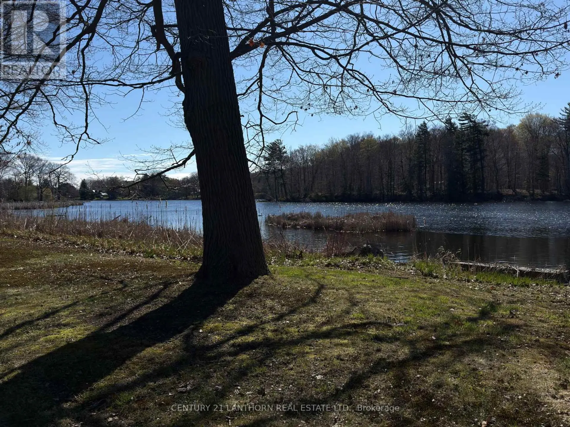 210 C STORMS ROAD - Image 10