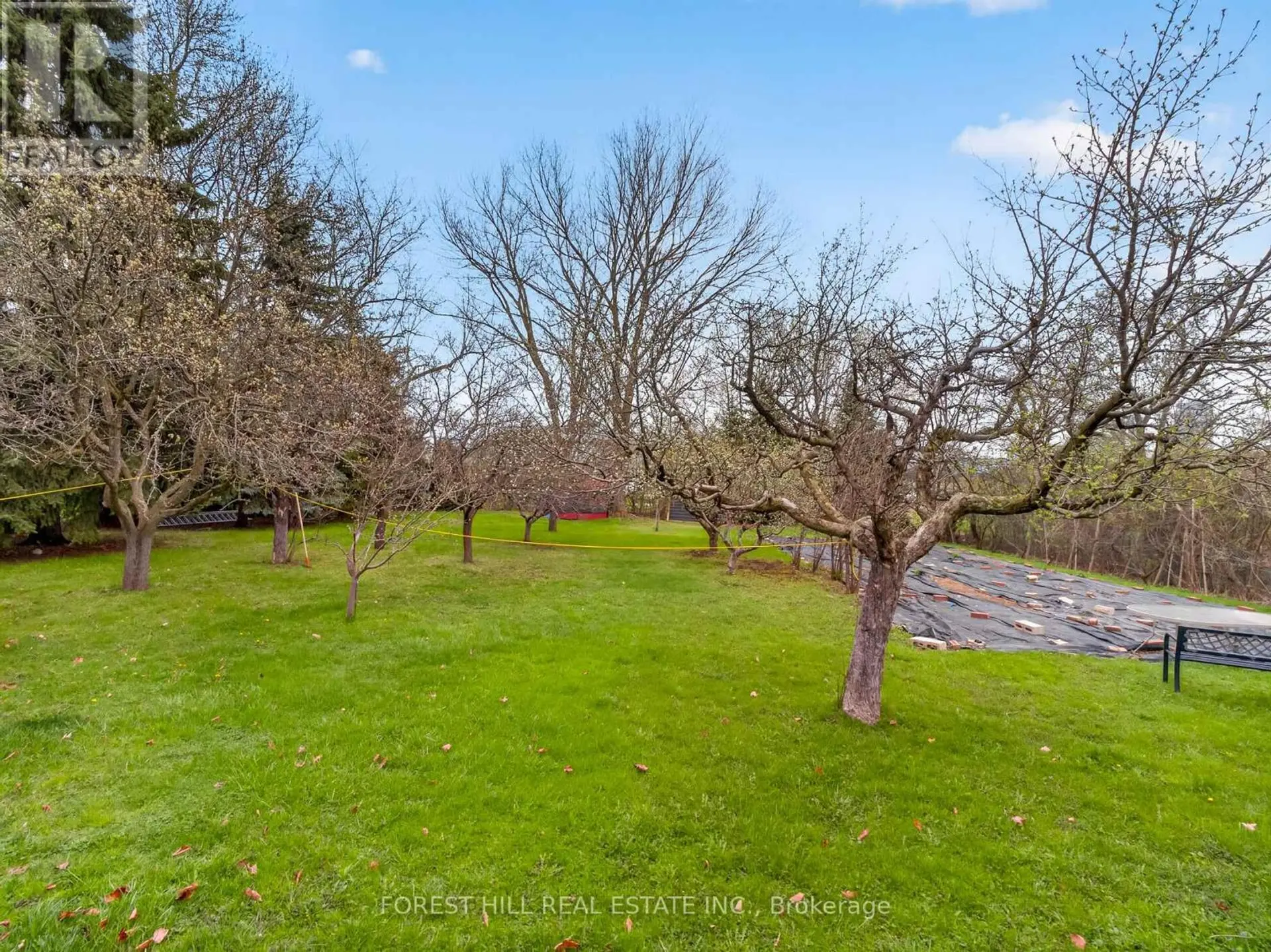 27 VAUGHAN BOULEVARD - Image 10