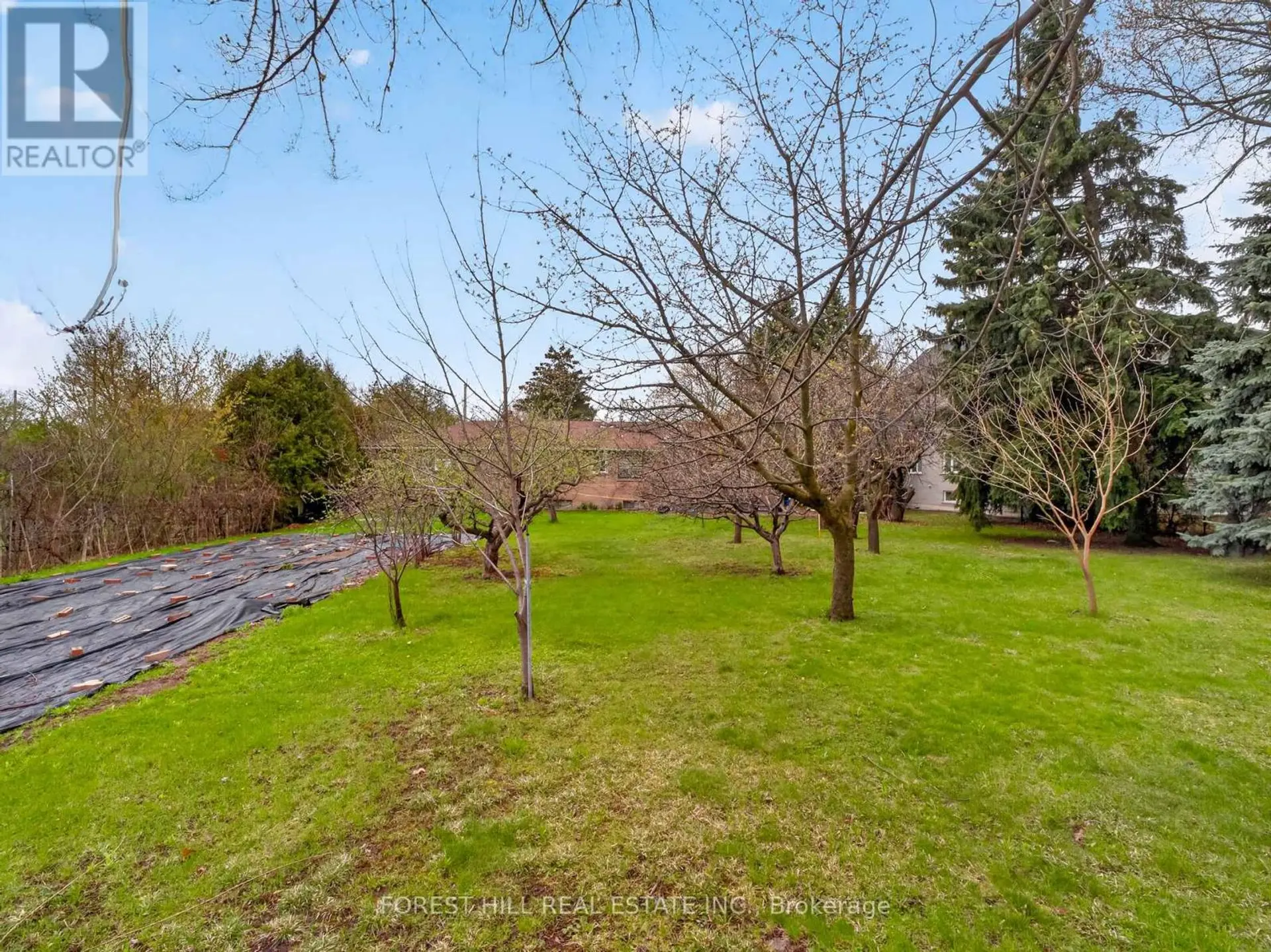 27 VAUGHAN BOULEVARD - Image 14