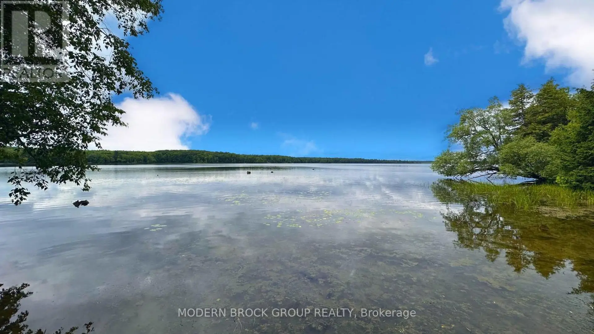 94 GRAHAM LAKE ROAD - Image 12