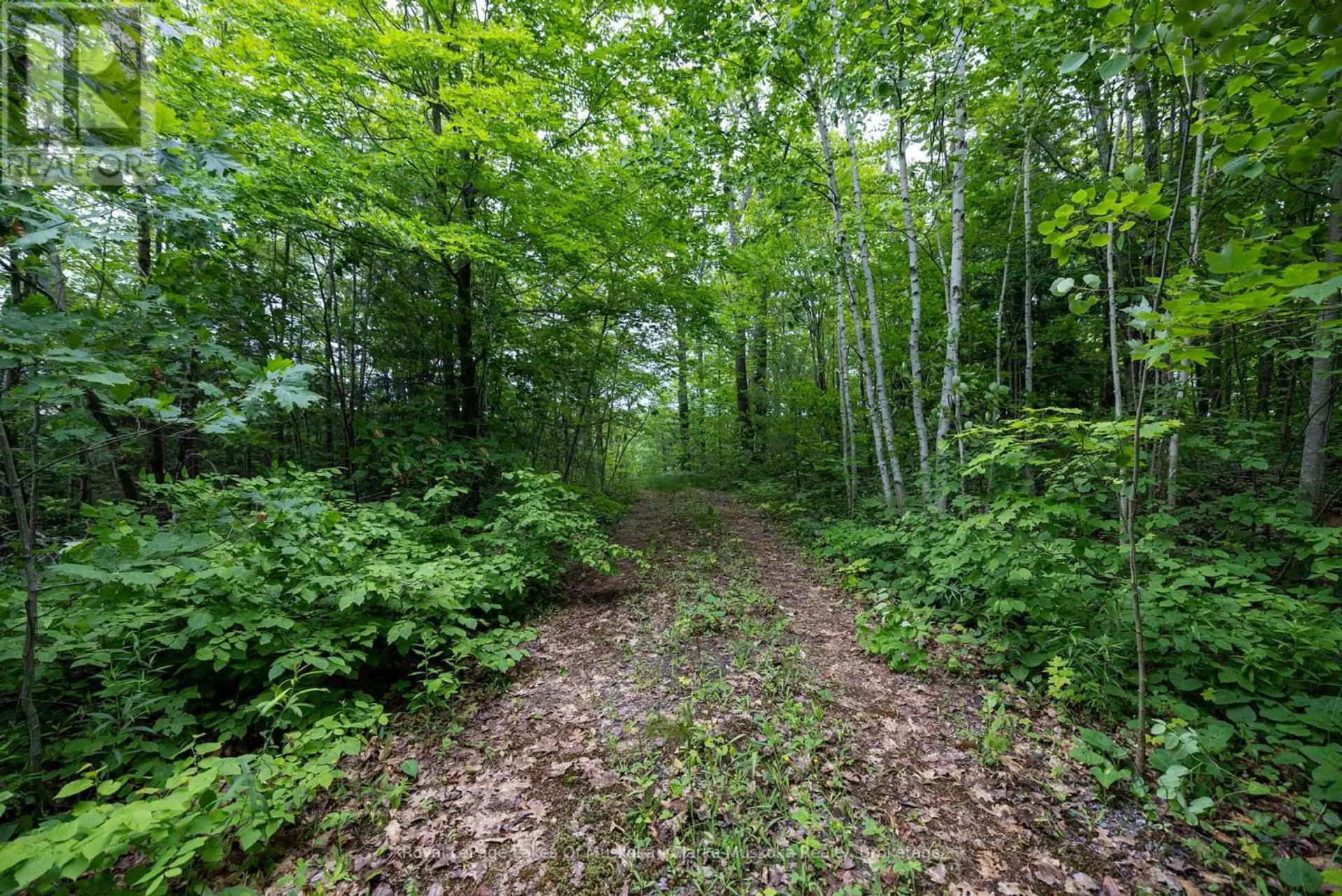 173 612 HIGHWAY - Image 3