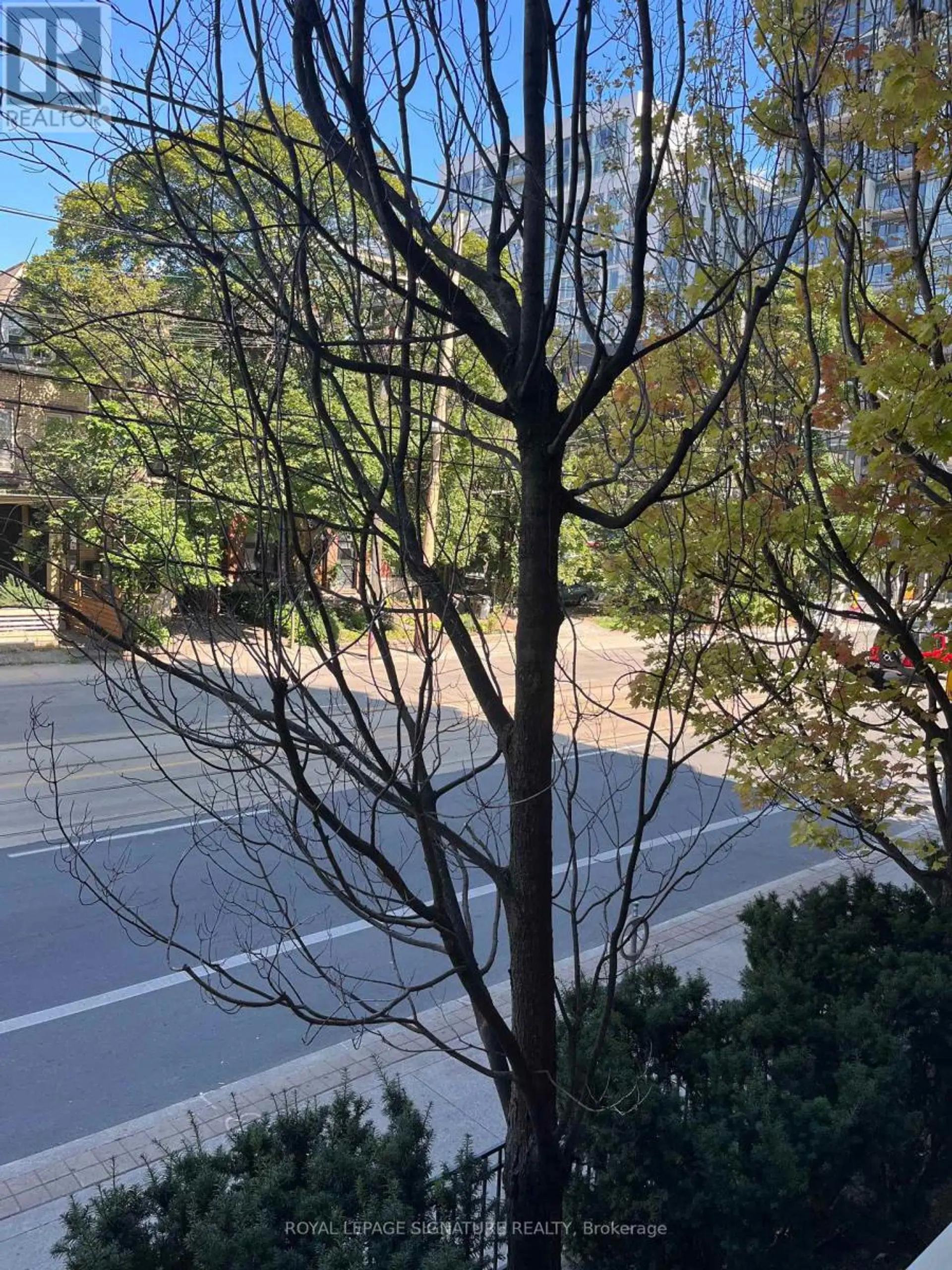 #207 140 BATHURST STREET - Image 19