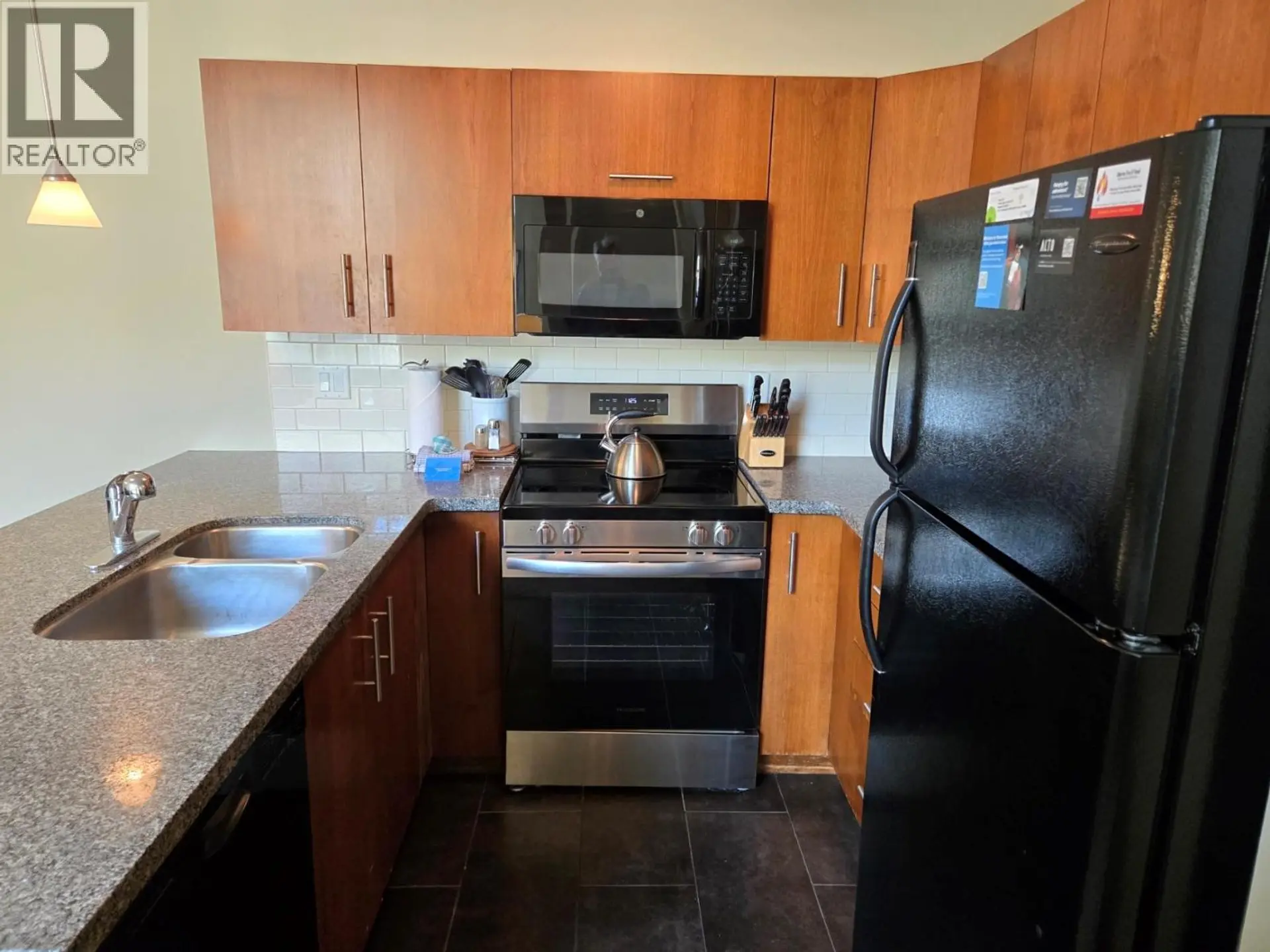 #223 B 2049 SUMMIT Drive - Image 9